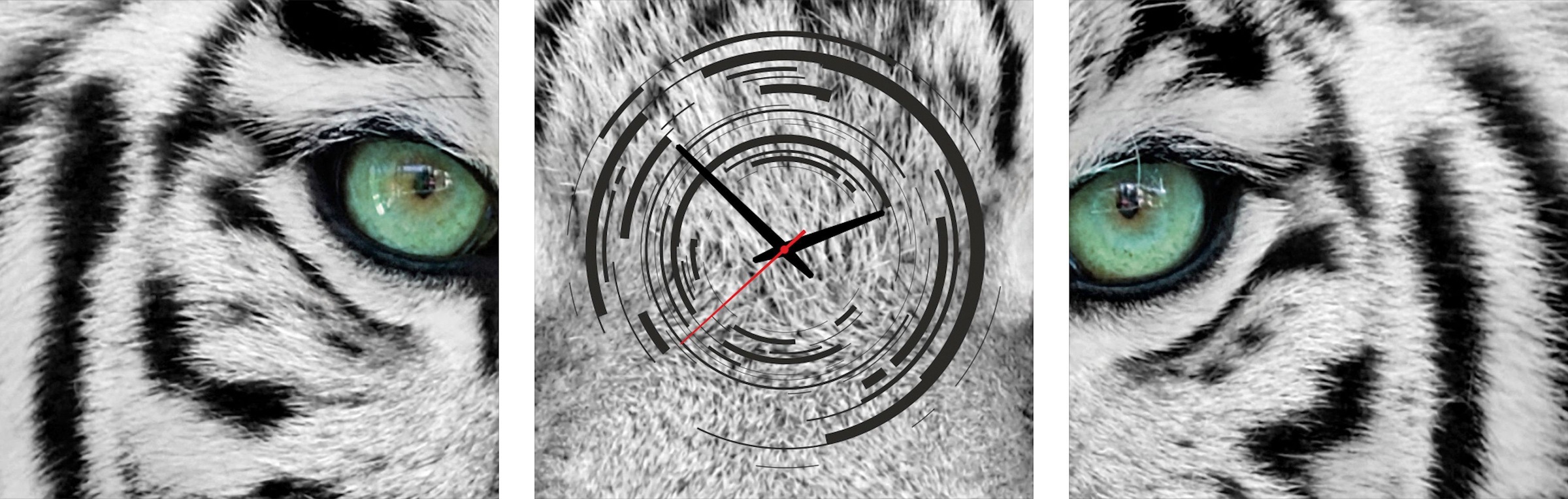 Image of Conni Oberkircher´s Bild »Eye of the Tiger - Augen des Tigers«, Tiger, (Set, (Set 3), auf kunstvollem Leinwanddruck, Wildtiere bei Ackermann Versand Schweiz