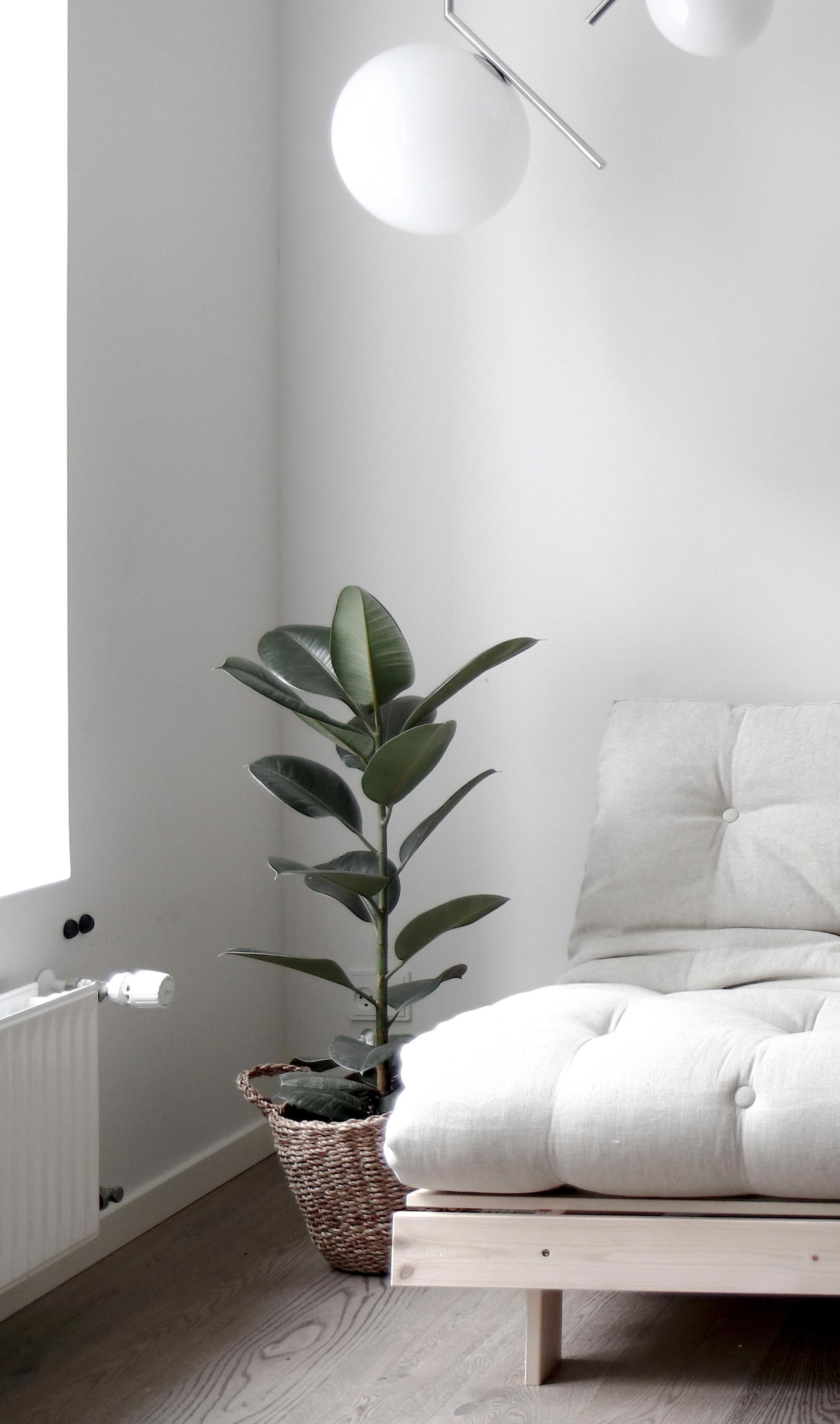 Karup Design Daybed »Roots Schlafsofa, Gästebett, Sofa inkl. Futonmatratze«, Liegefläche 90/140/160 x200 cm, FSC® zertifizierte Kiefer