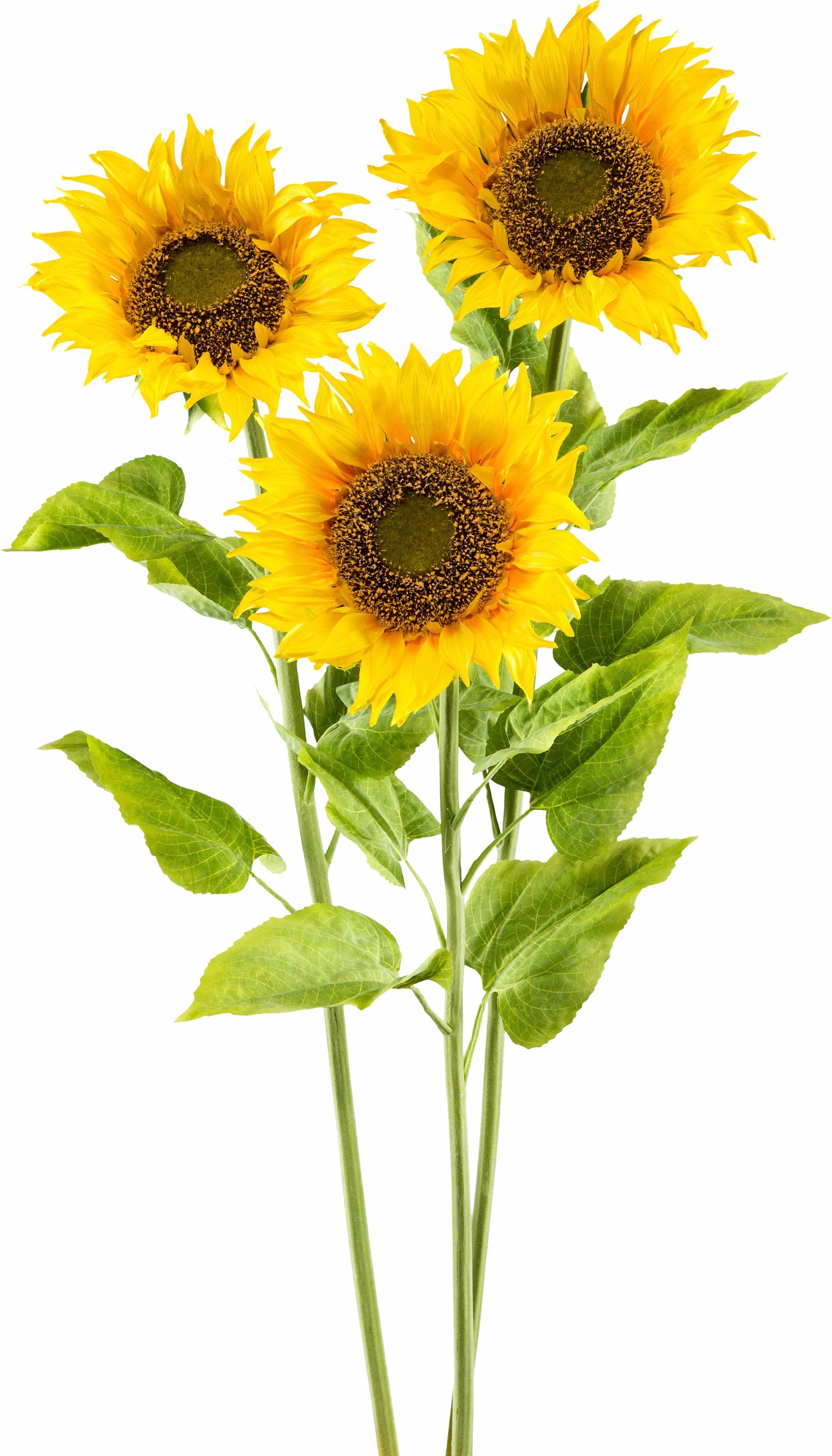 Image of Creativ green Kunstblume »XL«, (3 St.) bei Ackermann Versand Schweiz