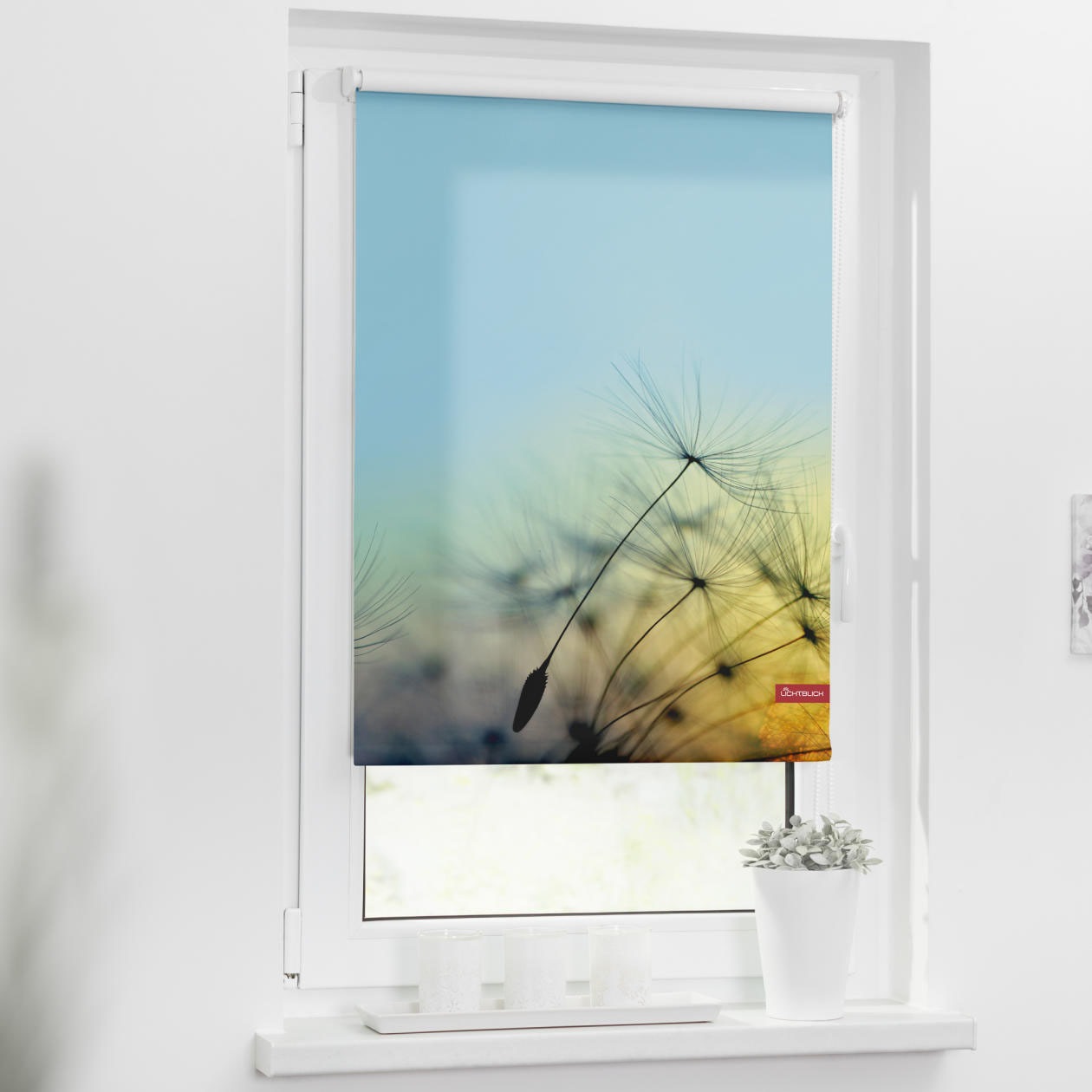 Image of LICHTBLICK ORIGINAL Seitenzugrollo »Rollo Klemmfix, ohne Bohren, Verdunkelung, Pusteblume - Blau«, verdunkelnd, Verdunkelung-energiesparend, freihängend bei Ackermann Versand Schweiz