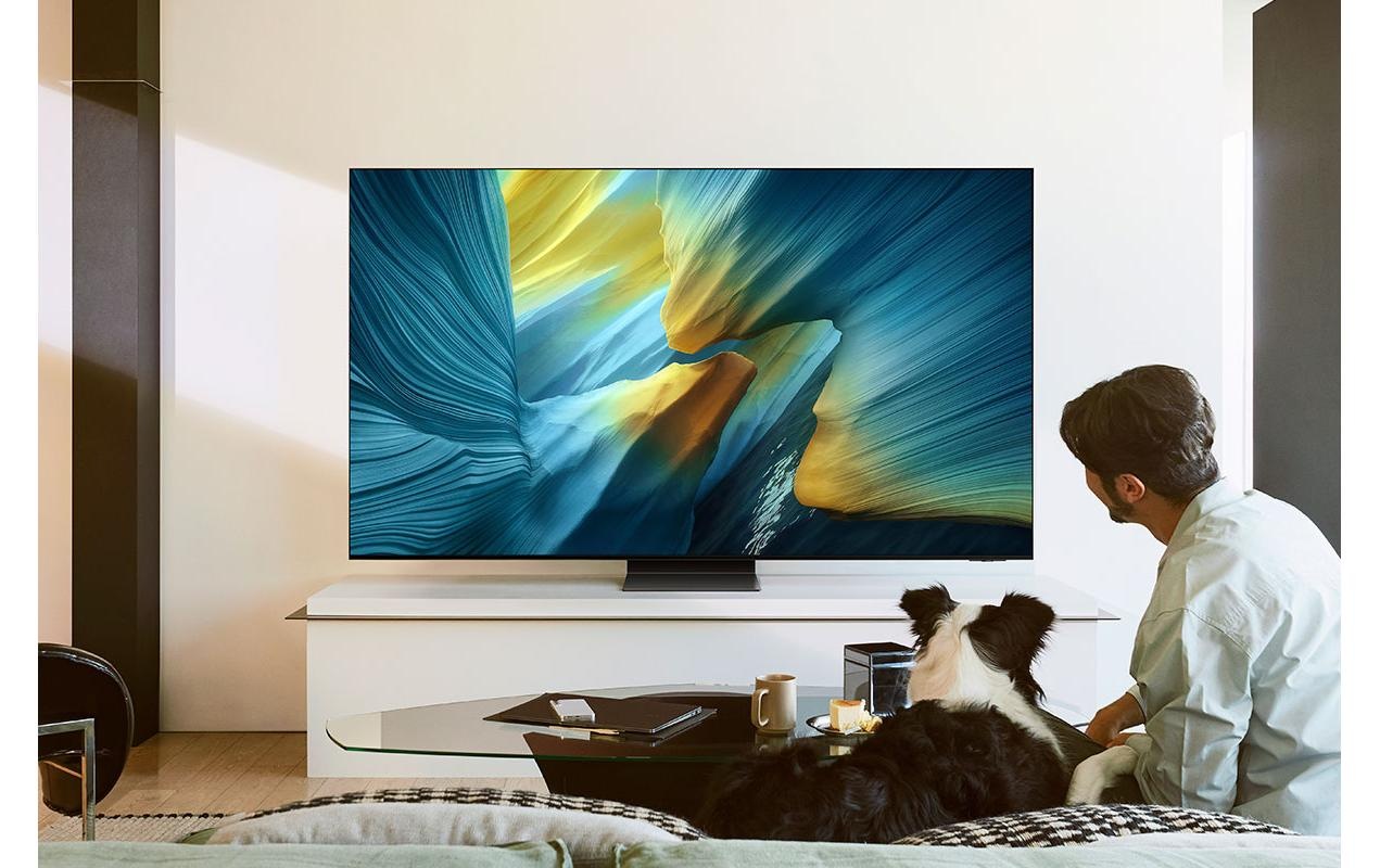 Samsung Téléviseur OLED »QE65S95F 65« 163 cm/65 ″