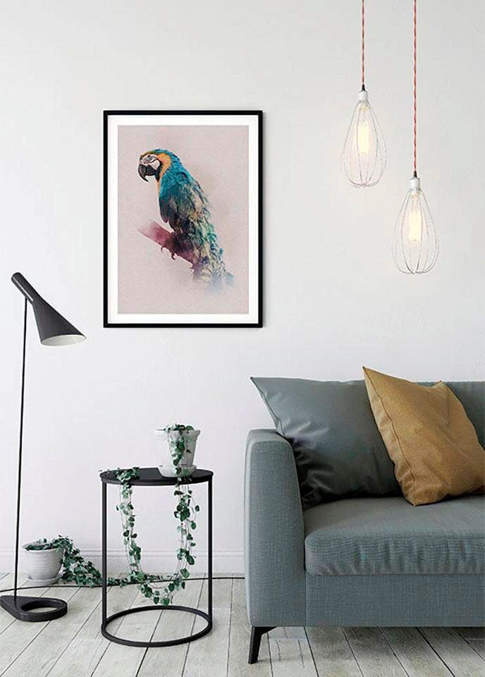Komar Bild »Animals Paradise Parrot« Tiere 1 Stk. tlg. Wandbild zur Dekoration - ohne Rahmen