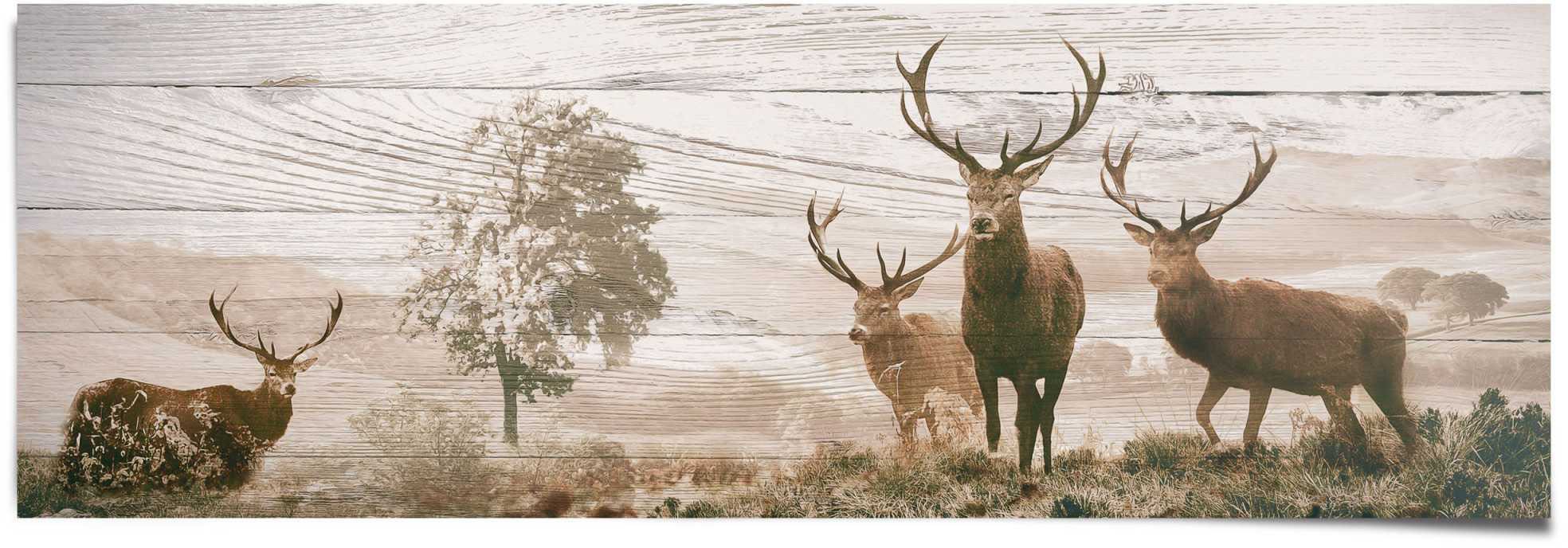 Image of Reinders! Poster »Hirsche«, (1 St.) bei Ackermann Versand Schweiz