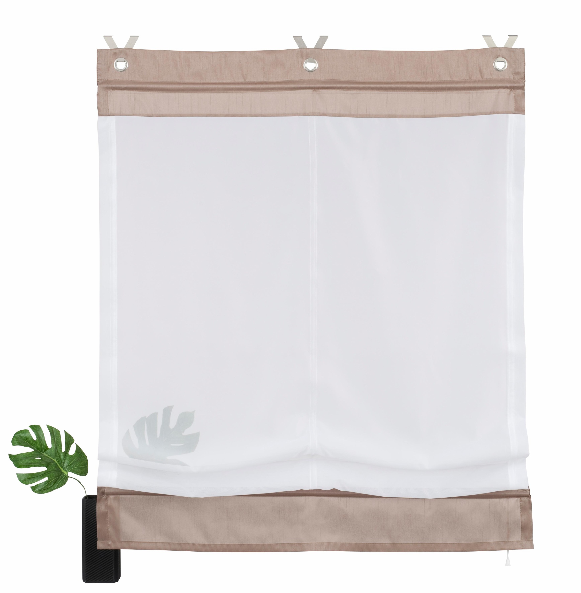 Image of Home affaire Raffrollo »Fuma«, mit Hakenaufhängung, transparent, mit farbiger Blende und Bordüre, echter Voile in Seidenoptik, in verschiedenen Grössen bei Ackermann Versand Schweiz