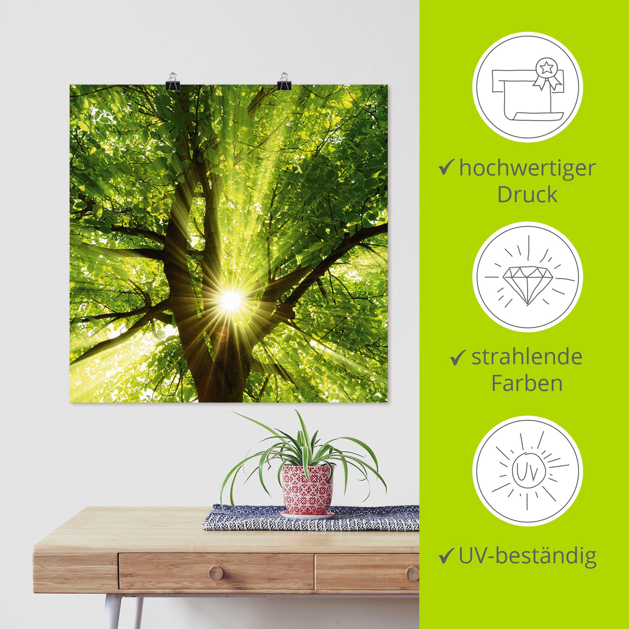 Artland Wandbild »Sonne strahlt explosiv durch den Baum«, Bäume, (1 St.), als Leinwandbild, Poster, Wandaufkleber in verschied. Grössen