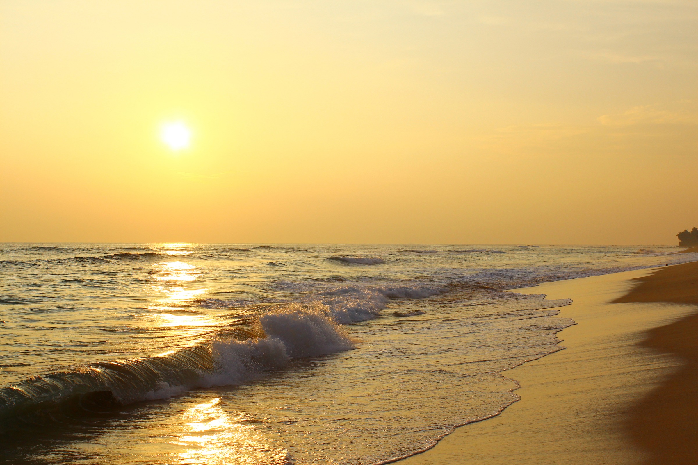 Image of Papermoon Fototapete »Sunset Beach Sri Lanka« bei Ackermann Versand Schweiz