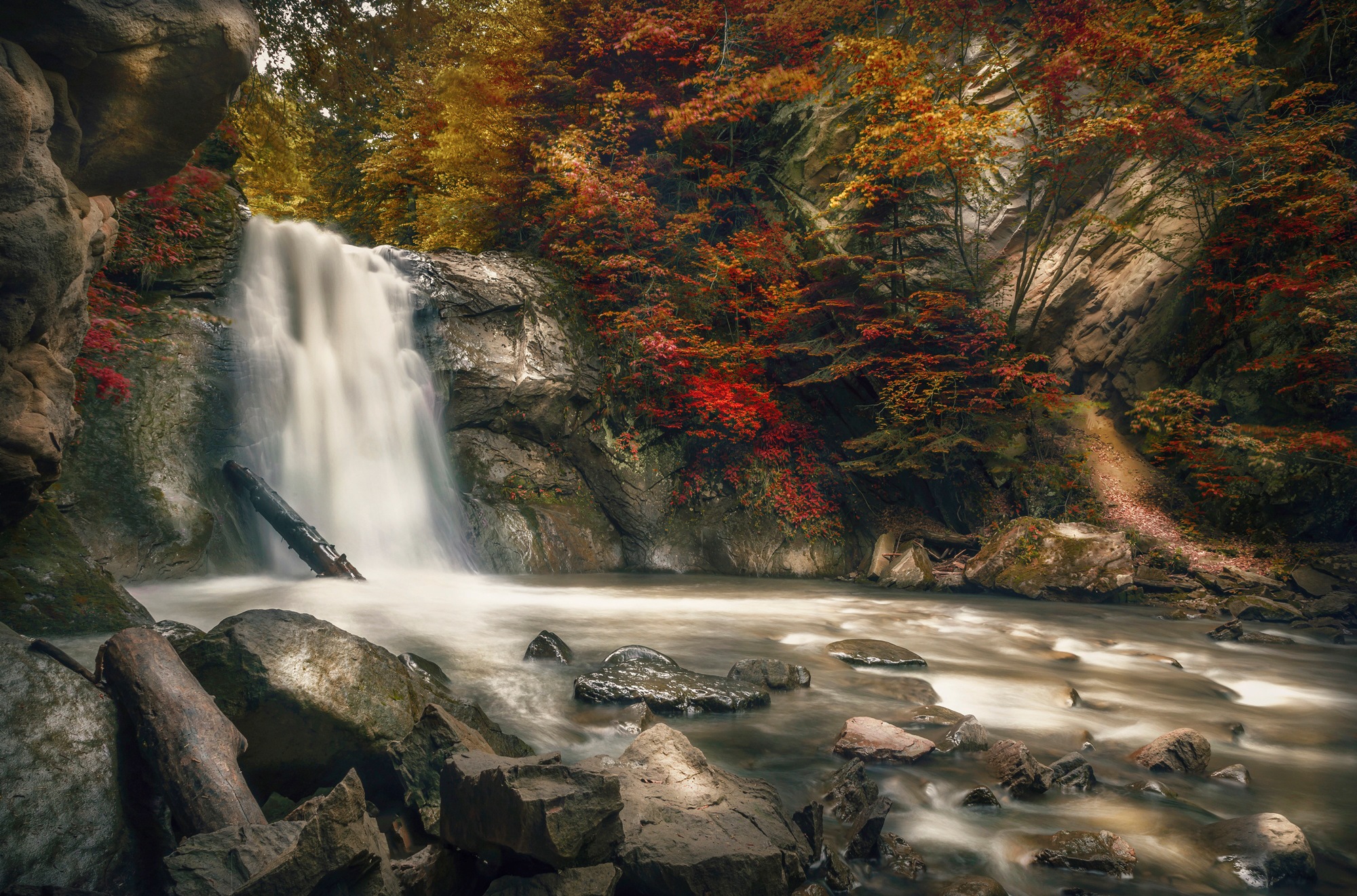 Image of Papermoon Fototapete »WASSERFALL-HERBST WALD MEER FLUSS INSEL STEINE BÄUME«, Vliestapete, hochwertiger Digitaldruck, inklusive Kleister bei Ackermann Versand Schweiz