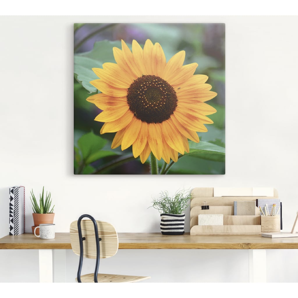 Artland Leinwandbild »Sonnenblume«, Blumen, (1 St.)