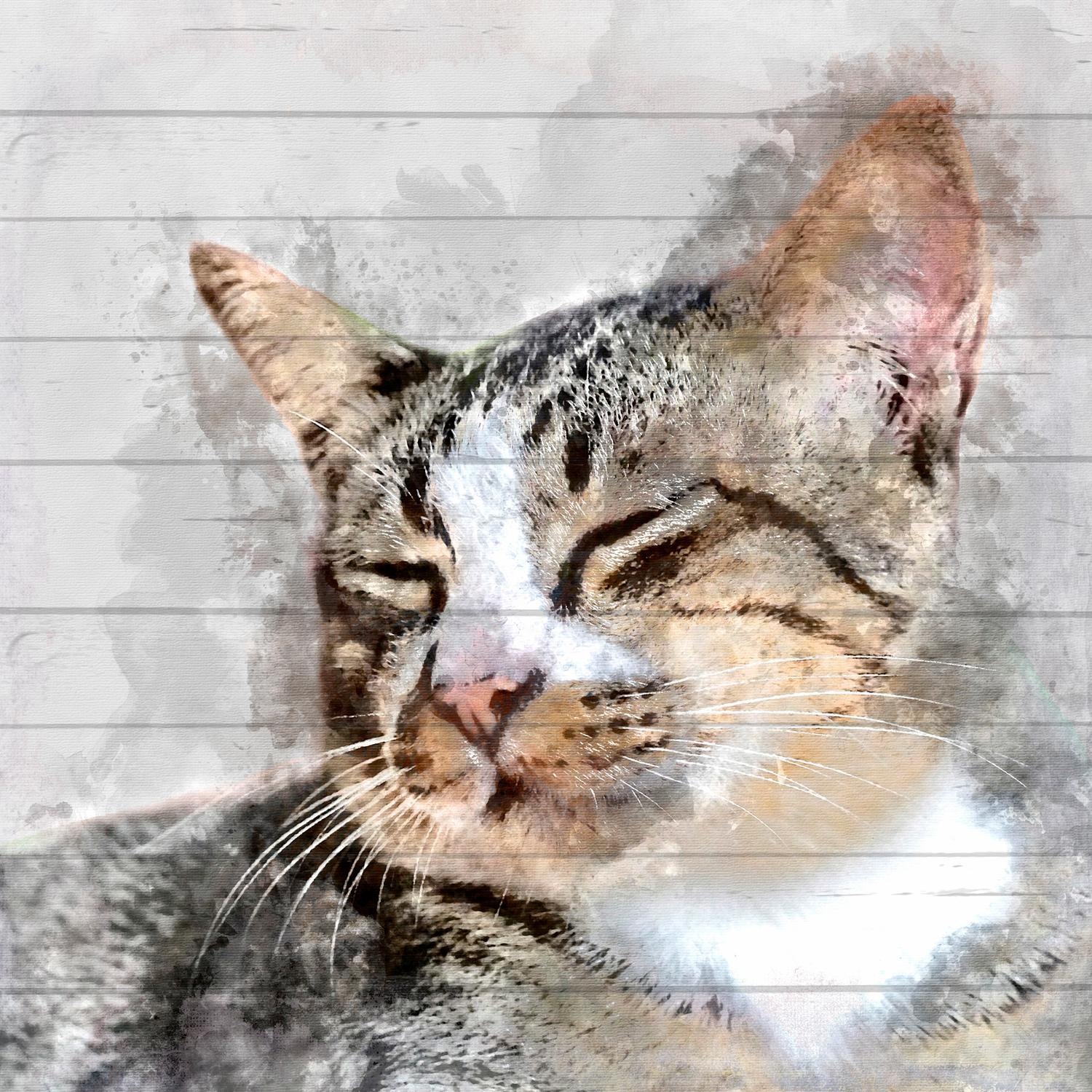 Image of Home affaire Holzbild »Katzenkopf«, 40/40 cm bei Ackermann Versand Schweiz