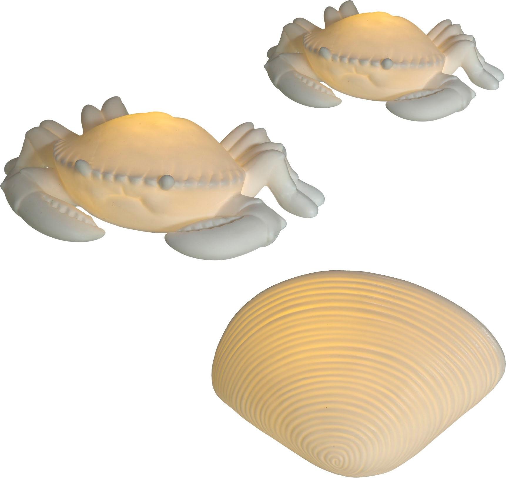 Image of Creativ home Dekofigur »Hummer und Muschel«, mit LED bei Ackermann Versand Schweiz