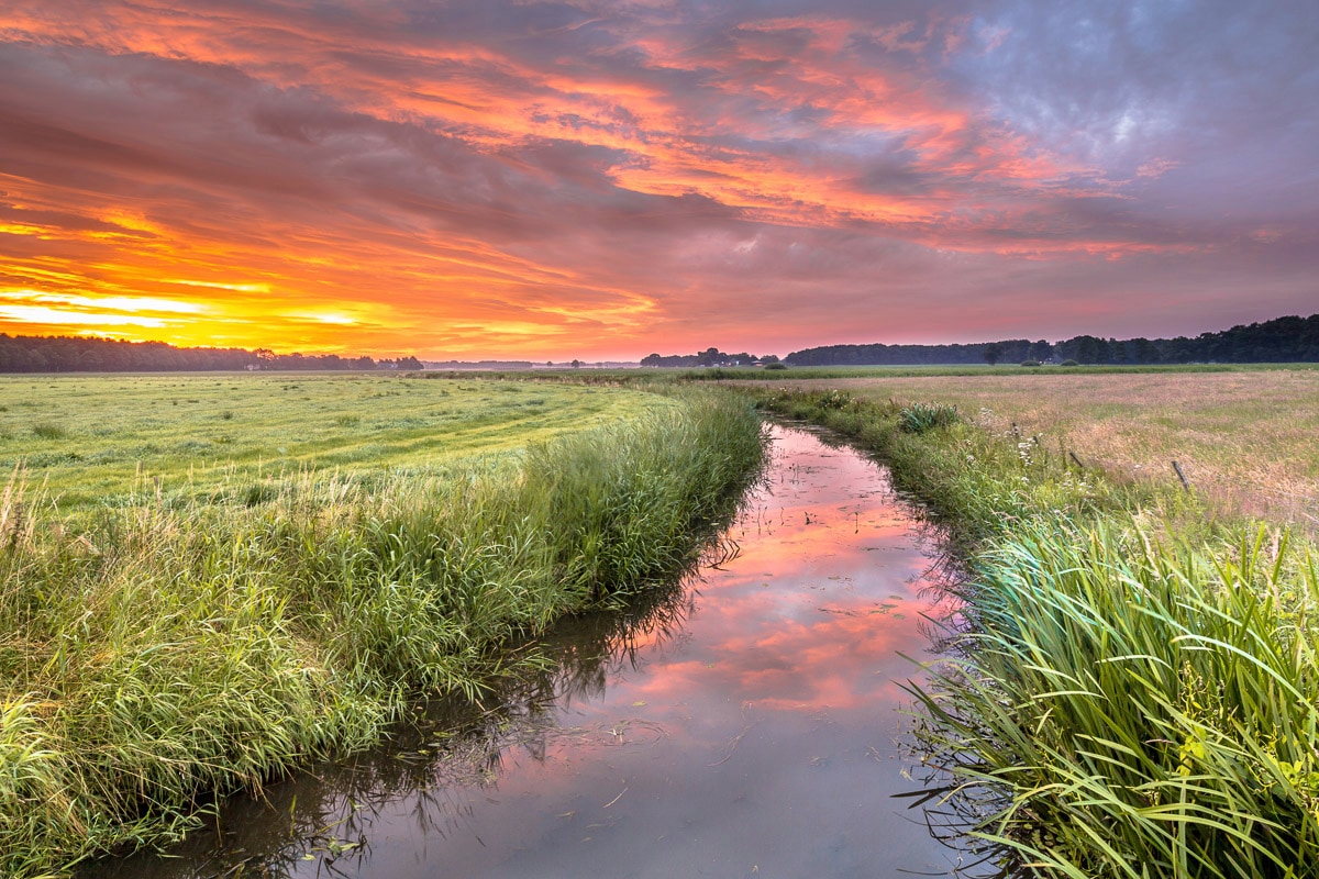 Image of Papermoon Fototapete "Fluss in Feld"