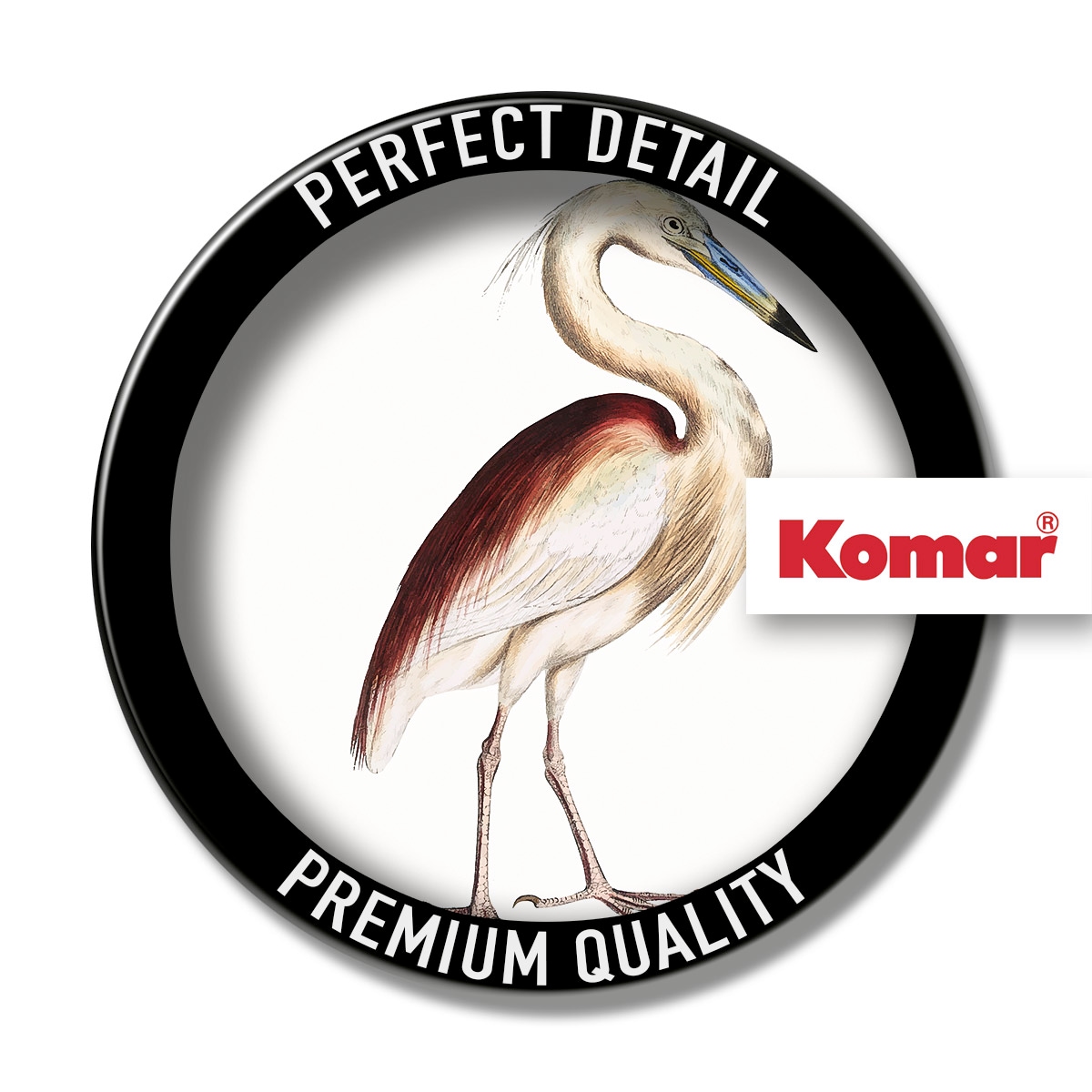 Komar Leinwandbild »Uncommon Bird - Grösse 40 x 40 cm«, Natur, (1 St.), Keilrahmenbild mi Echtholzrahmen