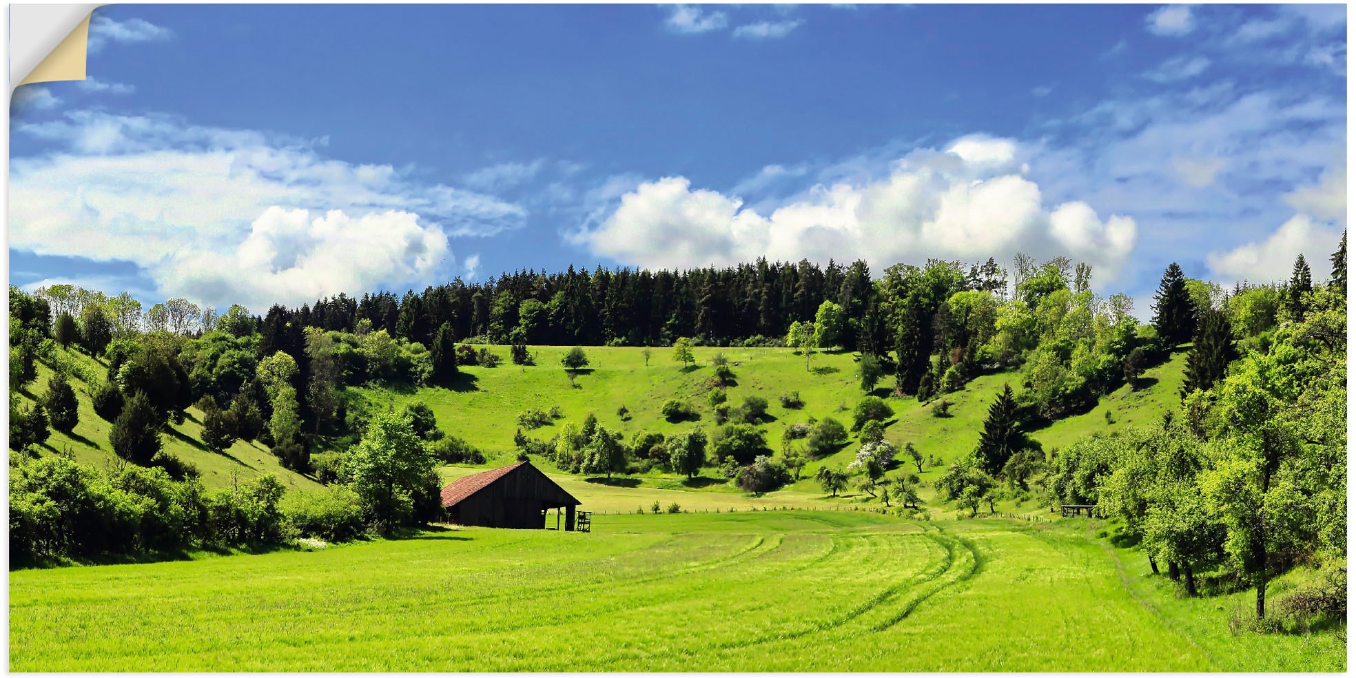 Artland Wandbild »Traumhafte Landschaft im Schwarzwald«, Wiesen & Baumbilder, (1 St.), als Alubild, Outdoorbild, Leinwandbild, Wandaufkleber, versch. Grössen