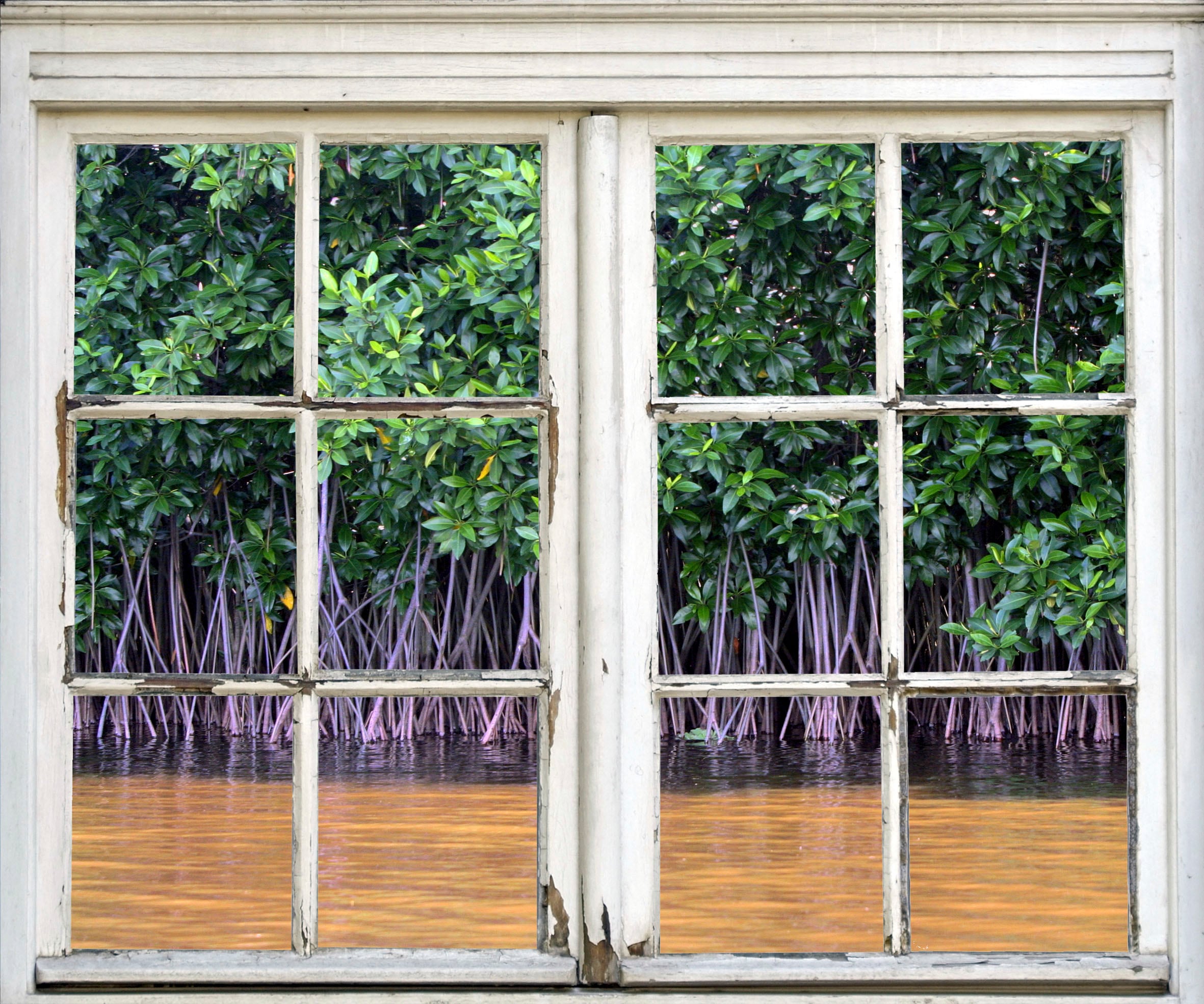 Image of queence Wandsticker "Busch am Wasser" Wandsticker, Wandbild, selbstklebend, 3D, Fenster