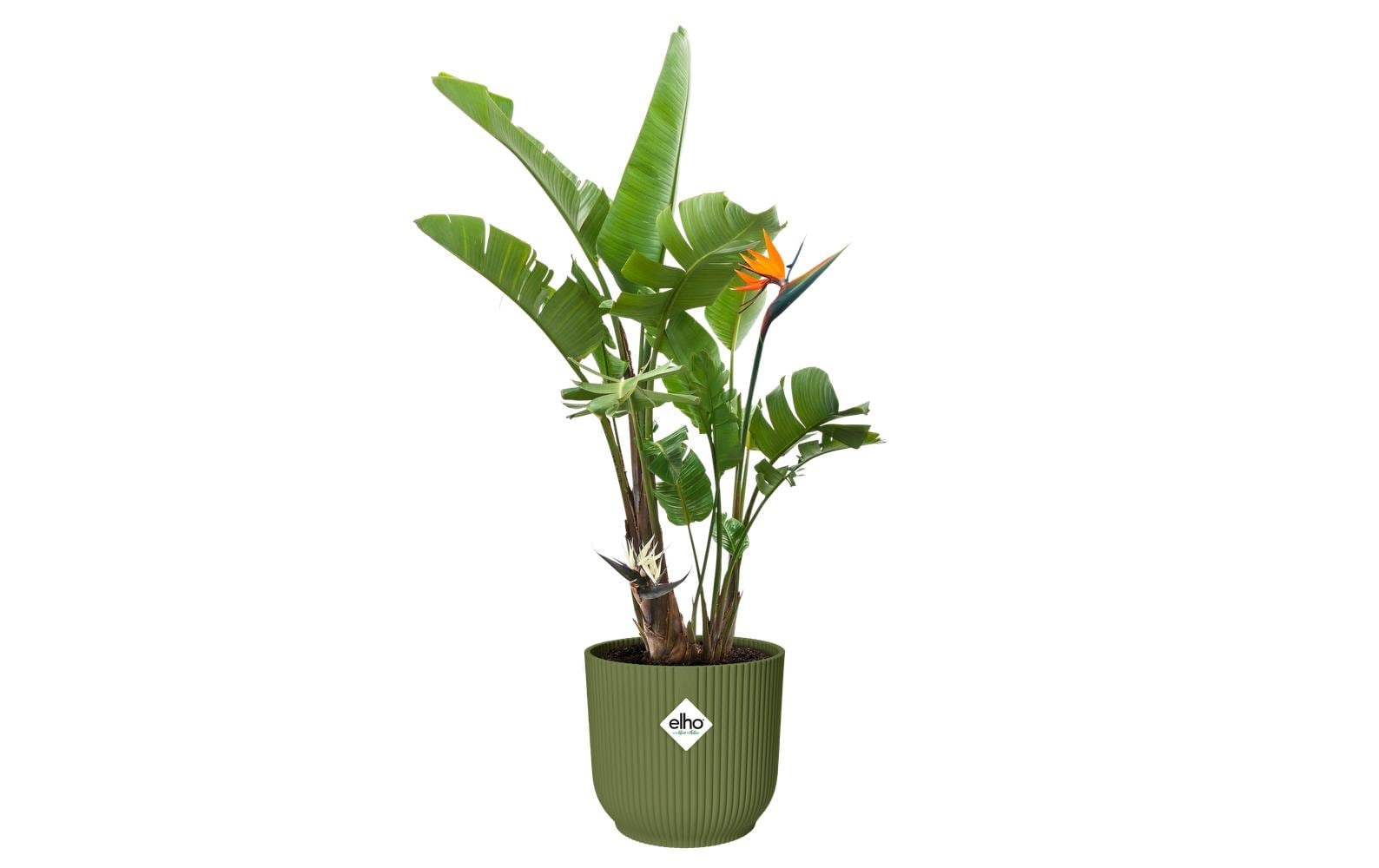 Elho Pot de fleurs »Vibes Fold Rund 40 cm«