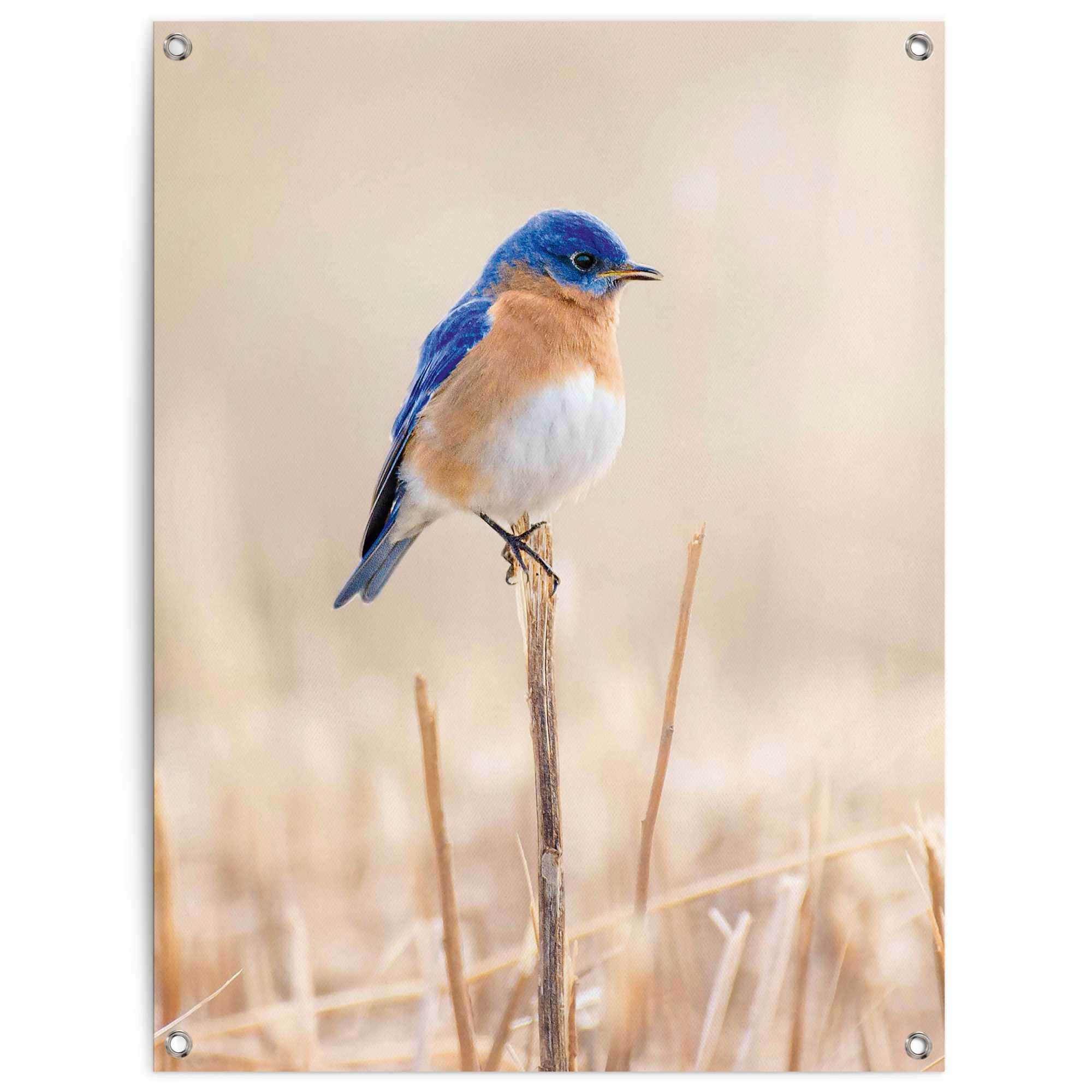 Image of Reinders Poster "Blauer Vogel" Outdoor für Garten oder Balkon