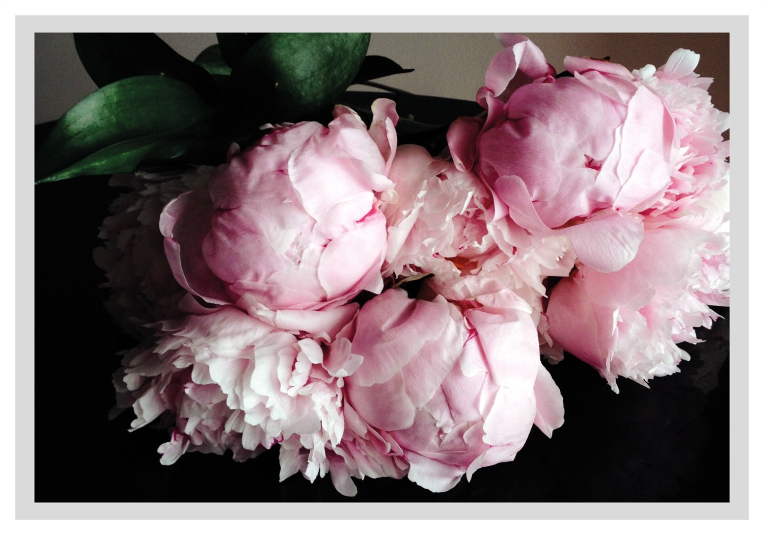 Image of queence Bild "Gunni" Blumen Foto Kunst Pflanzen Pflanzenbilder gerahmt, Rosen