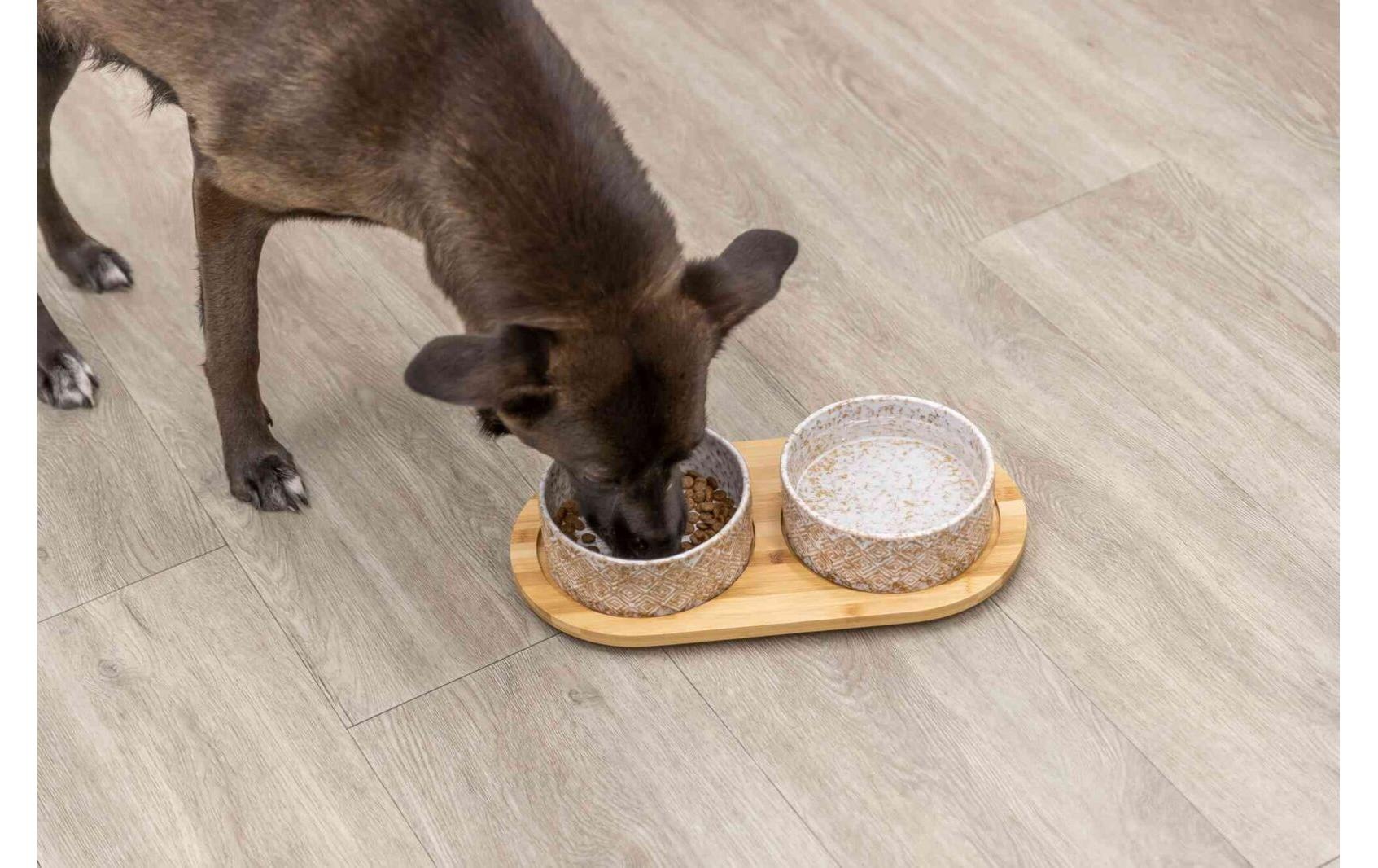 TRIXIE Mangeoire »Napf-Set 2 x 0.8 l, 39 x8 x 20 cm« Compatible avec aliments humides et secs, antidérapant