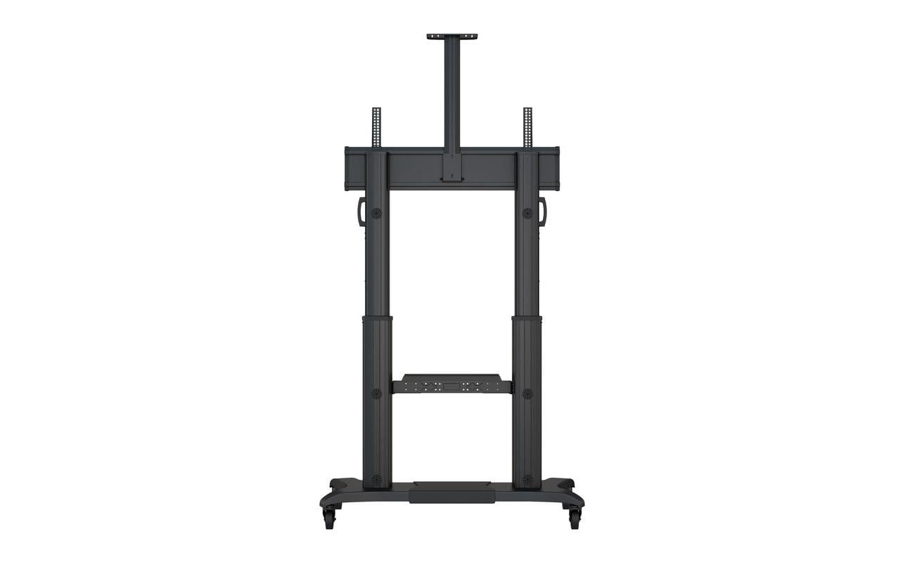 TV-Ständer »Multibrackets M Public D«