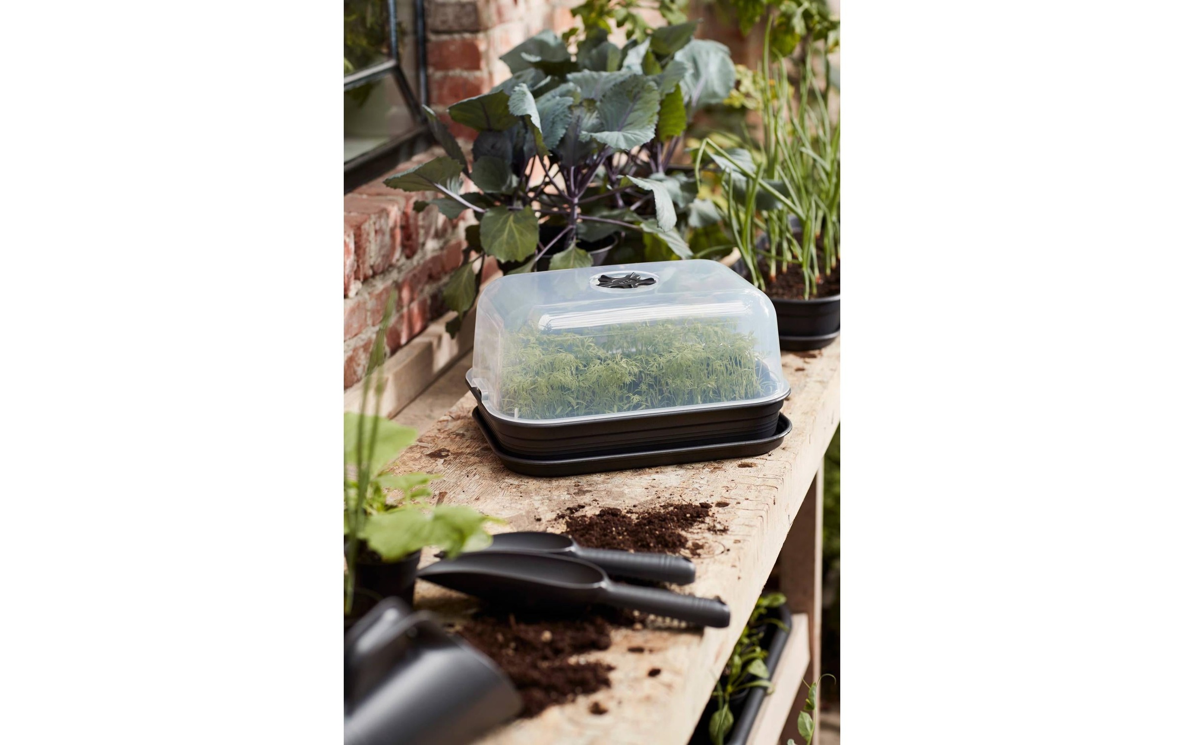 Elho Anzuchttopf »Anzuchtset M Green Basics«