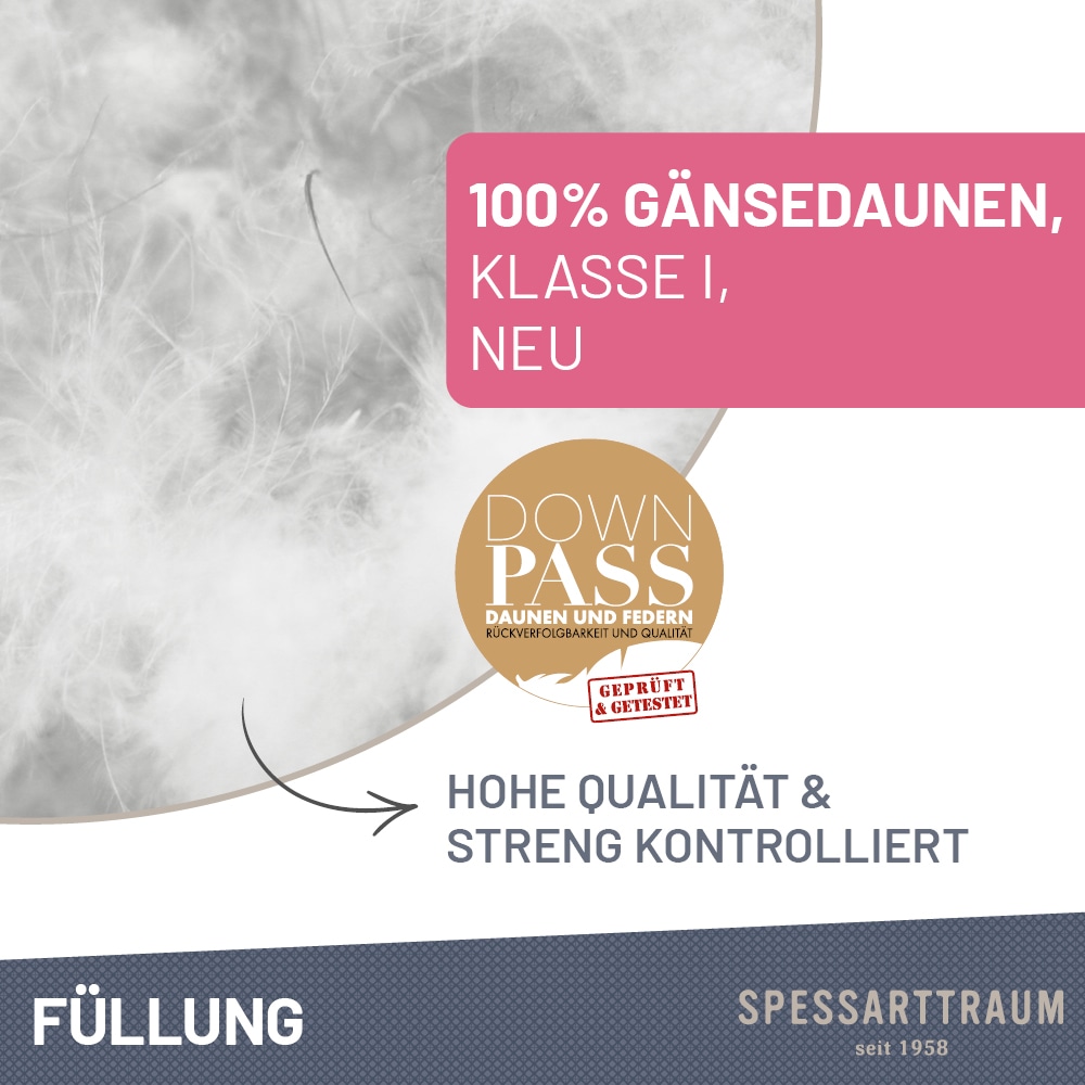 SPESSARTTRAUM Gänsedaunenbettdecke + Kopfkissen »Premium******« Sparset: 4 Wärmeklassen, 135x200 cm & 155x220 cm