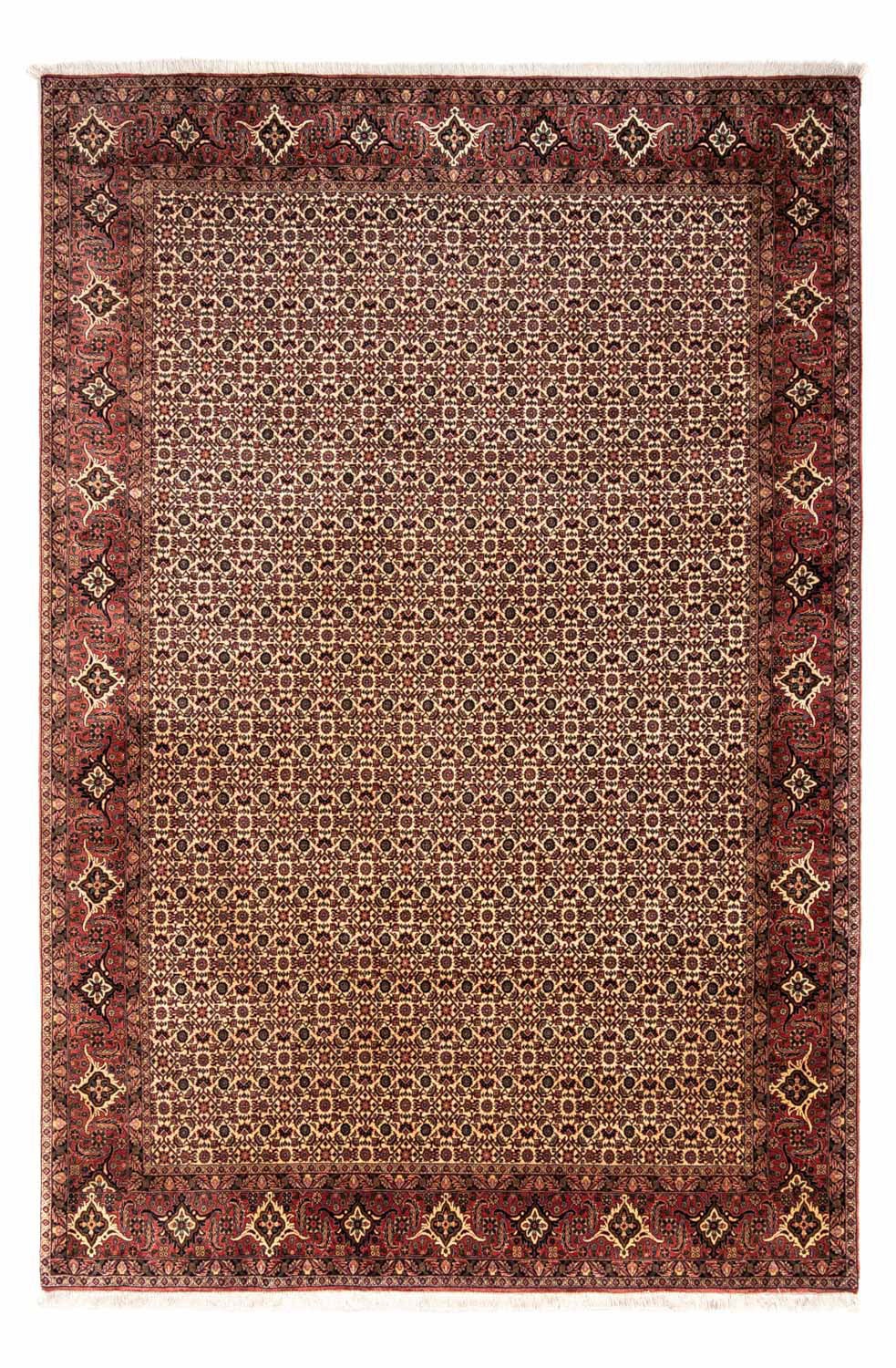 Image of morgenland Wollteppich »Bidjar Takab Durchgemustert Beige 302 x 208 cm«, rechteckig, 1,3 mm Höhe, Unikat mit Zertifikat bei Ackermann Versand Schweiz