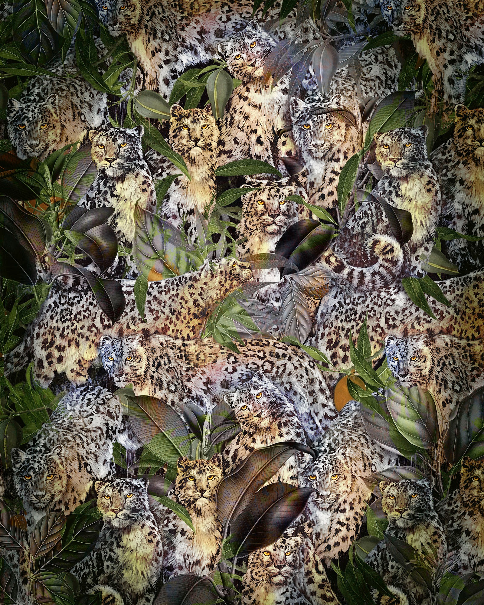 Image of Komar Vliestapete »Wild Cats«, bedruckt, 200 x 250 cm (Breite x Höhe) - 4 Bahnen bei Ackermann Versand Schweiz