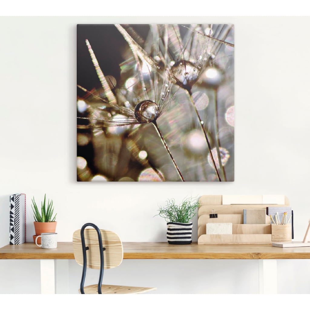 Artland Wandbild »Pusteblume abstrakt«, Blumen, (1 St.)