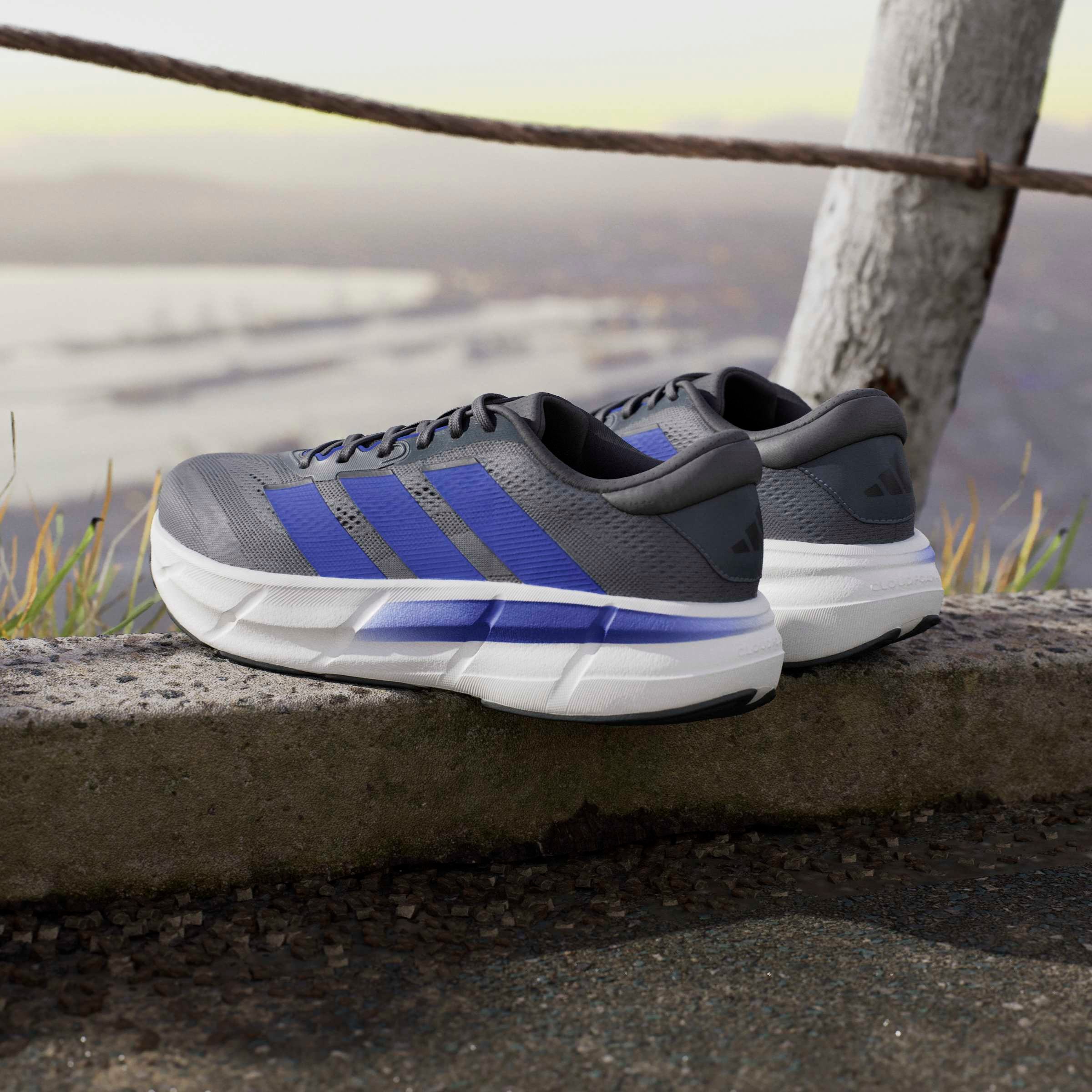 adidas Performance Chaussure de course »QUESTAR 4«