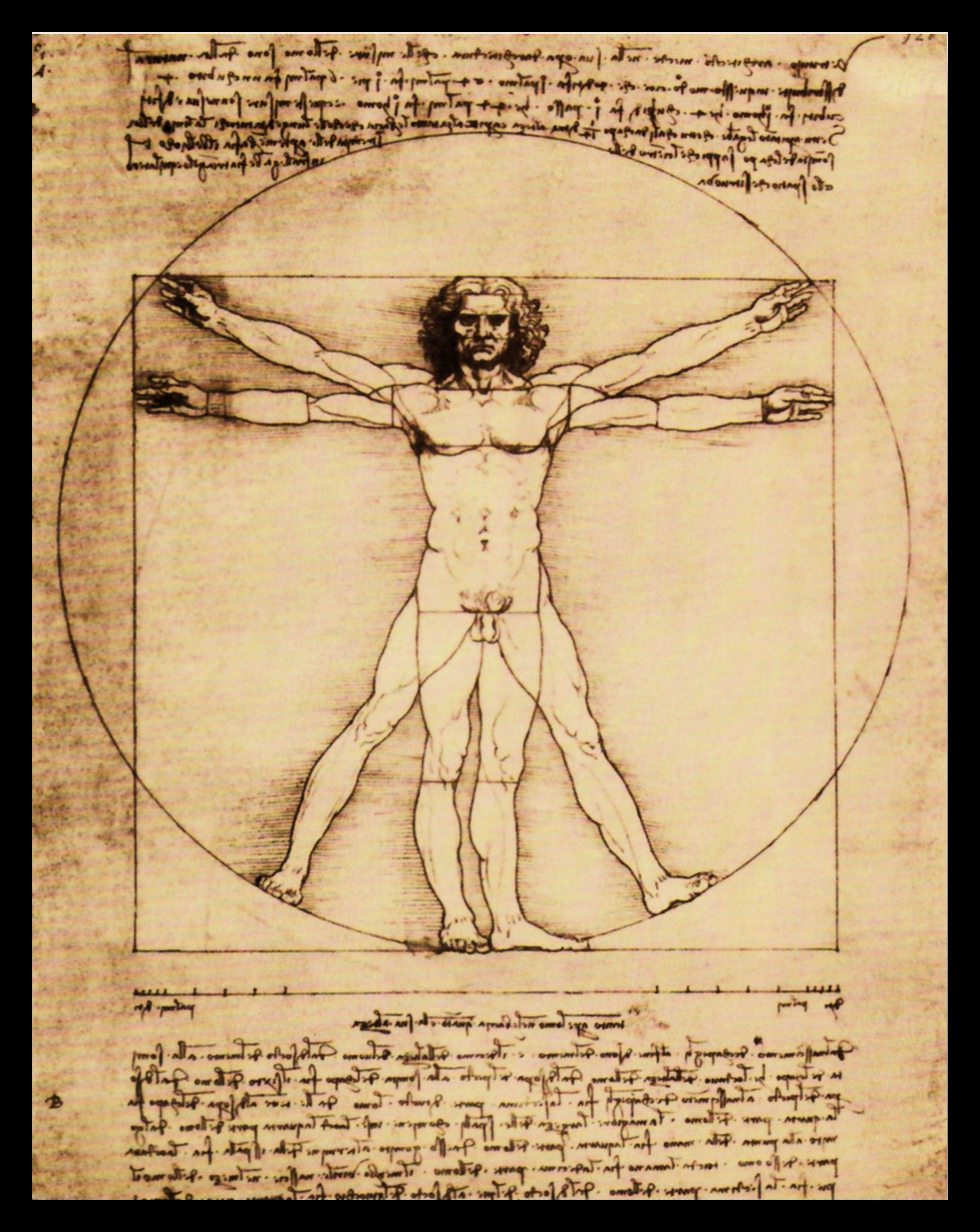Image of my home Bild mit Rahmen »L.DA VINCI / Schema della Proporzioni«, (1 St.) bei Ackermann Versand Schweiz
