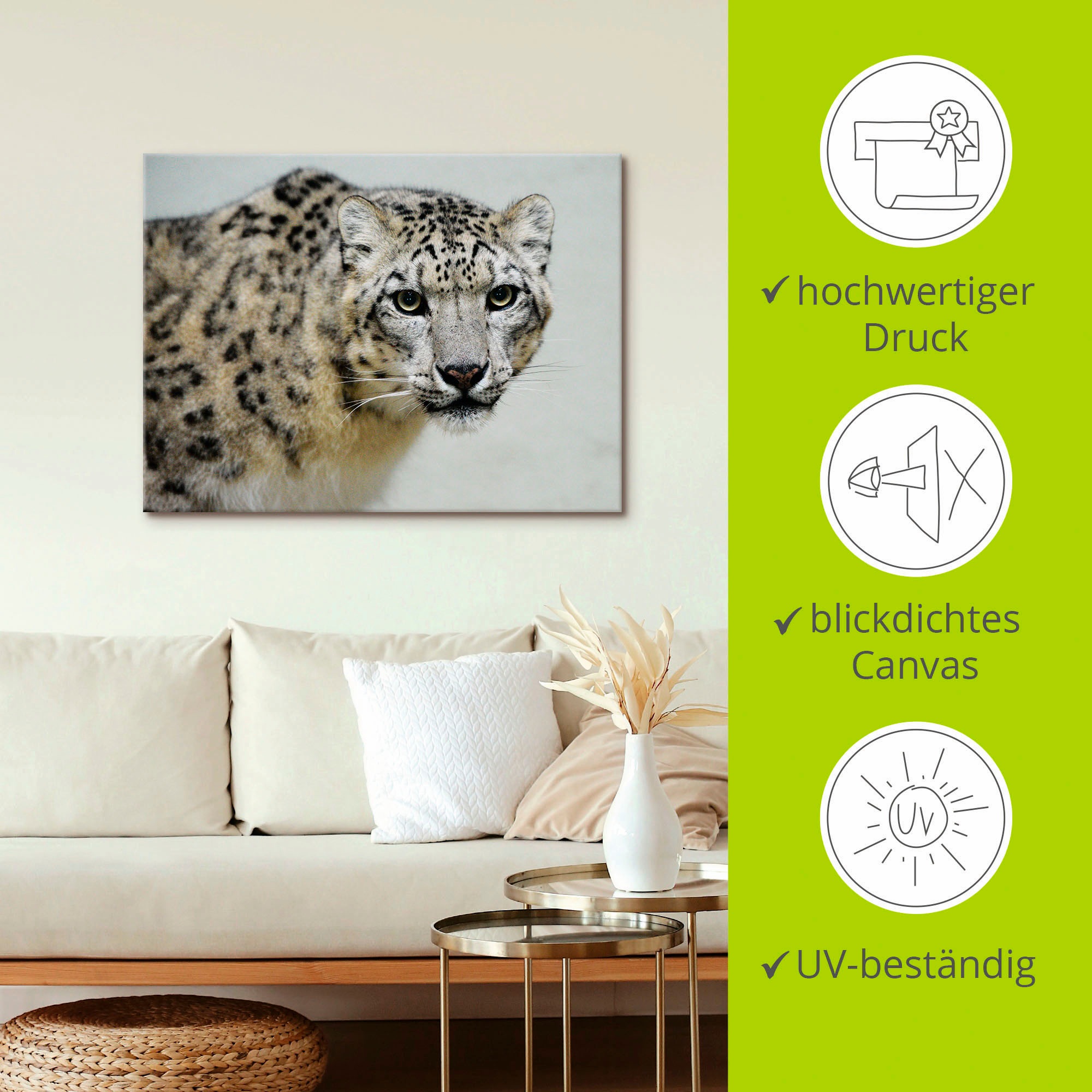 Artland Fresque murale »Schneeleopard« 1 cuis tlg. als Alubild, Leinwandbild in verschied. Grössen