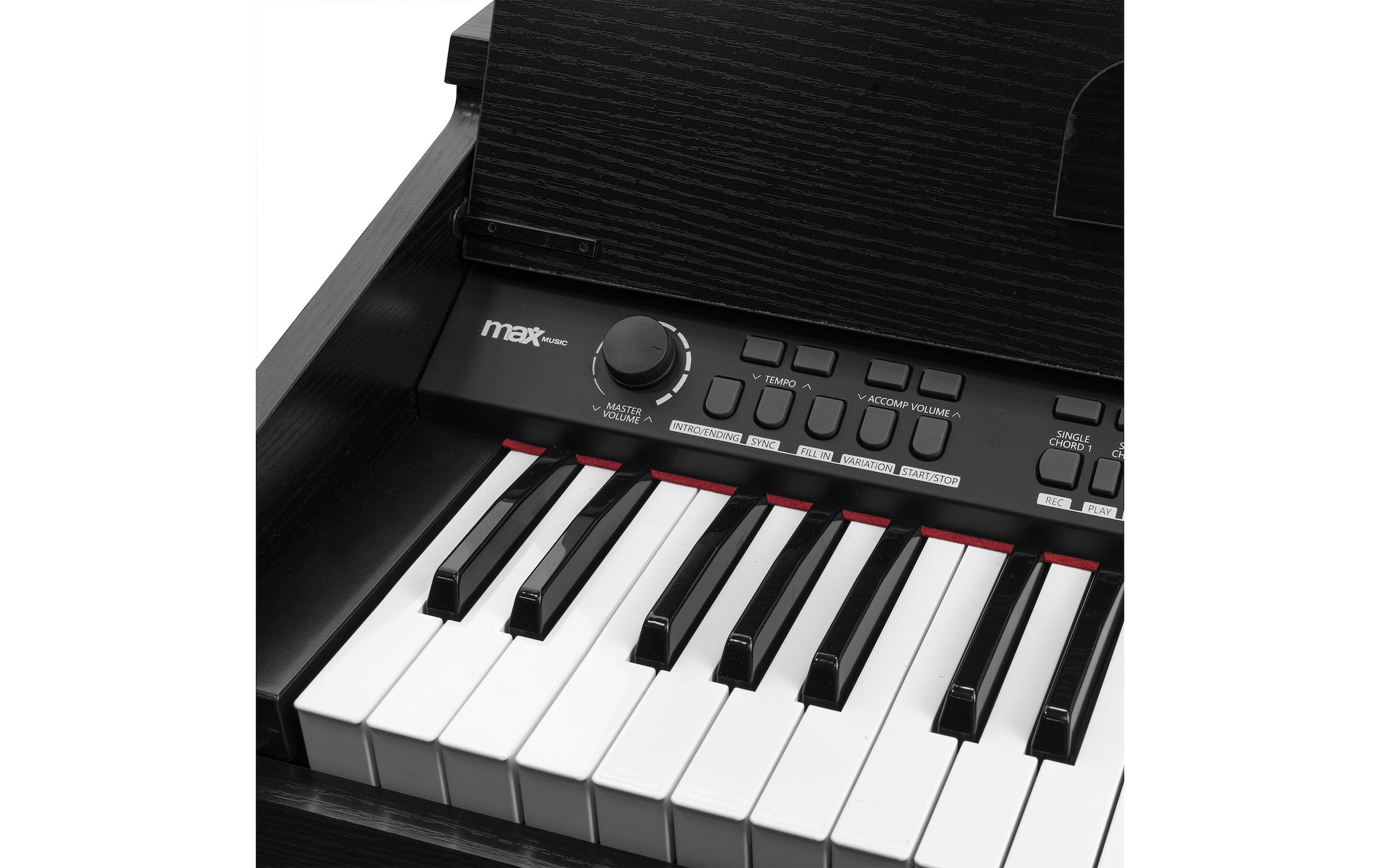 Home-Keyboard »MAX RhapsodyDP61«