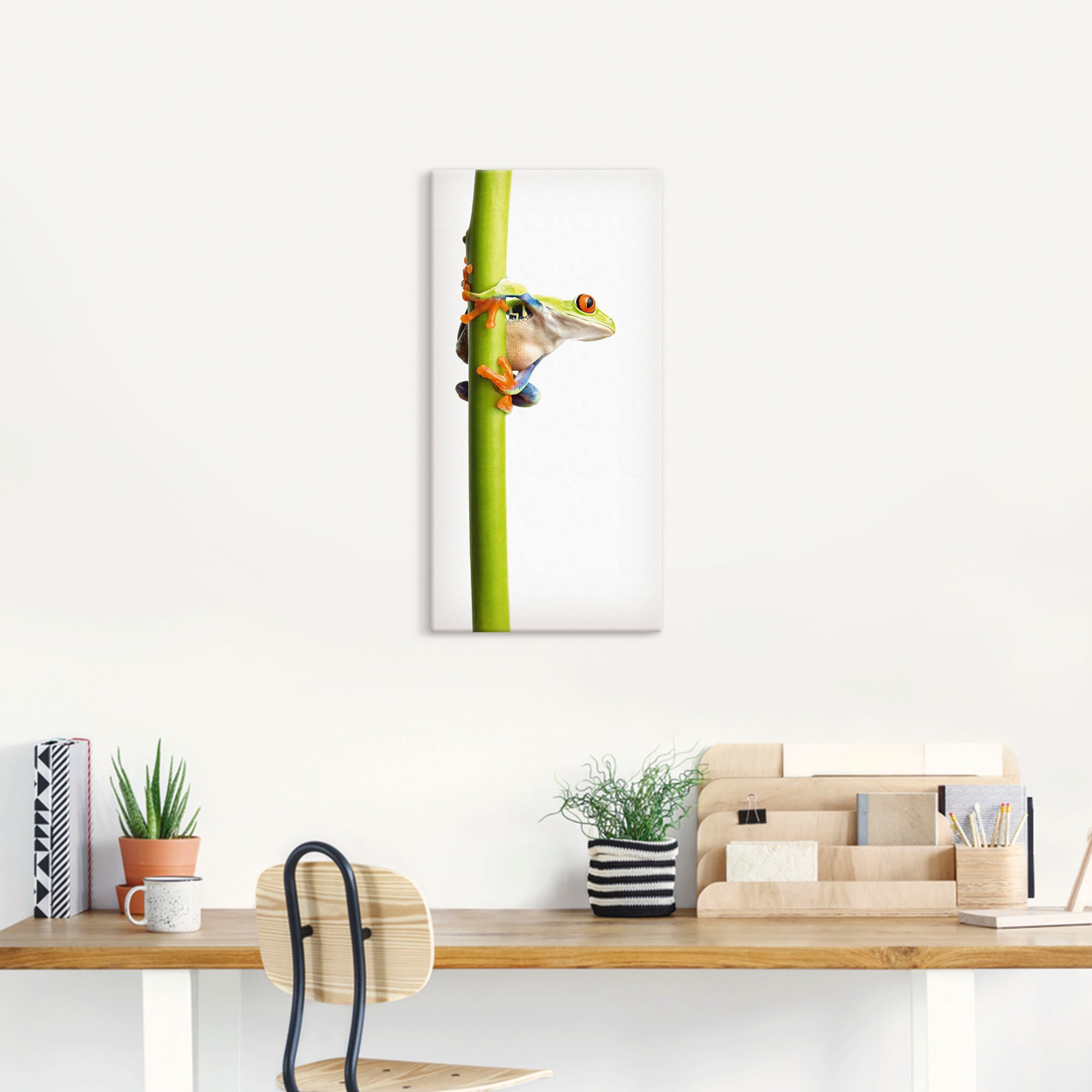 Artland Leinwandbild »Frosch umfasst einen Pflanzenstengel« Wassertiere 1 Stk. tlg. auf Holzrahmen gespannt