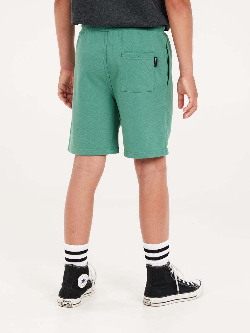 Protest Short »SHORTS PRTCLINT JR«