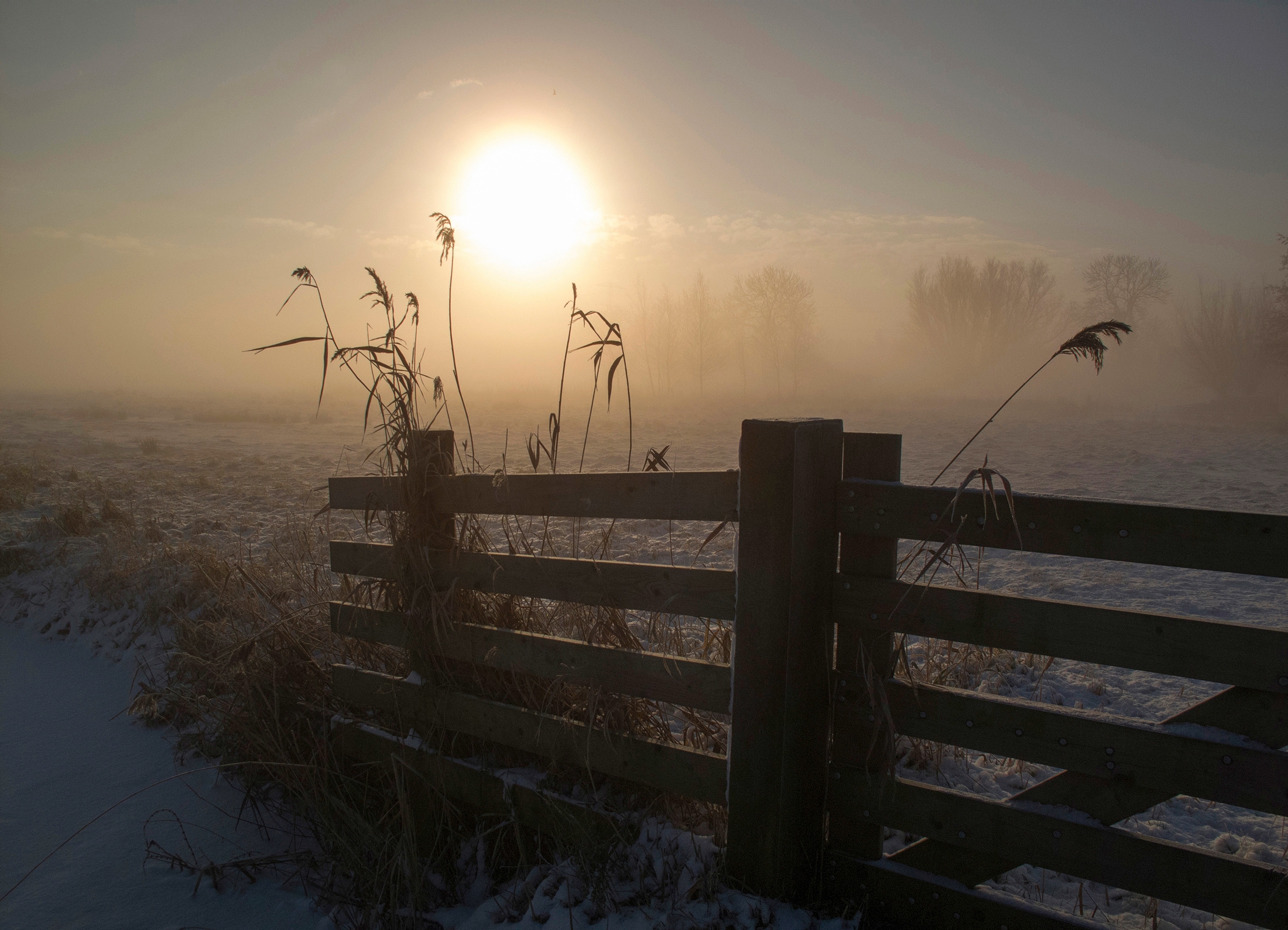 Image of Papermoon Fototapete "Photo-Art ALIDA VAN ZAANE, WINTERSTIMMUNG"