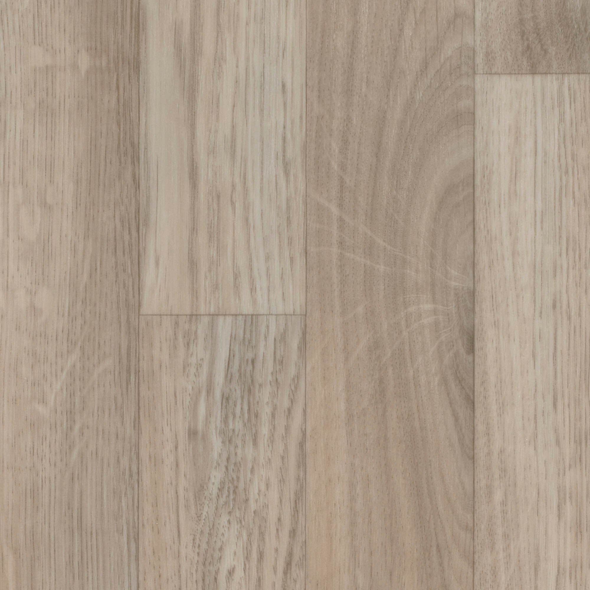 Image of Bodenmeister Vinylboden »PVC Bodenbelag Holzoptik Schiffsboden Eiche hell creme«, Meterware, Breite 200/300/400 cm bei Ackermann Versand Schweiz