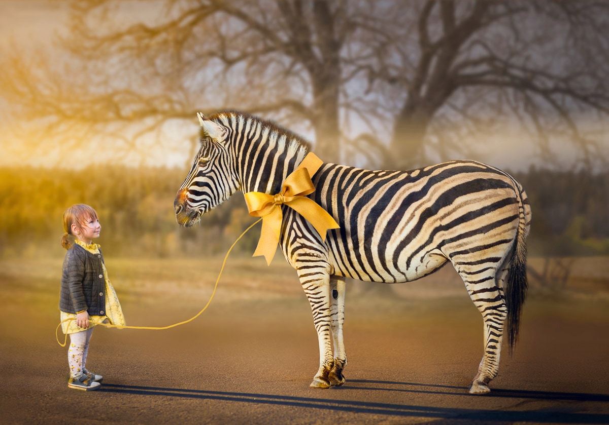 Image of Papermoon Fototapete "Mädchen mit Zebra"