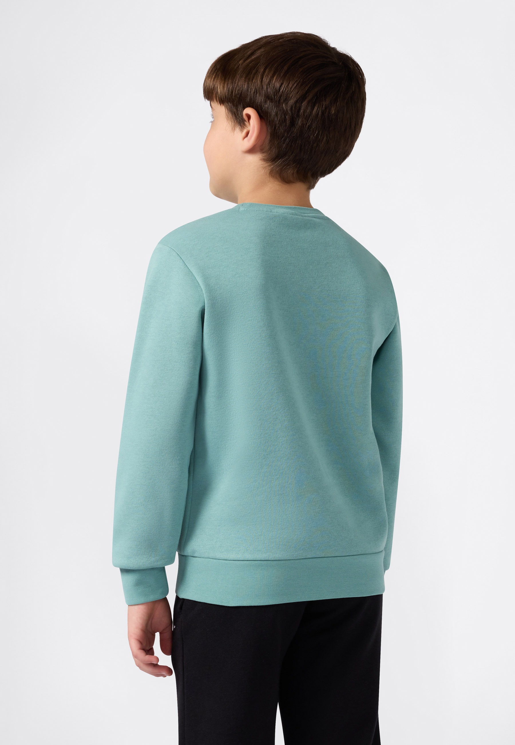 Champion Sweatshirt, (1 tlg.)