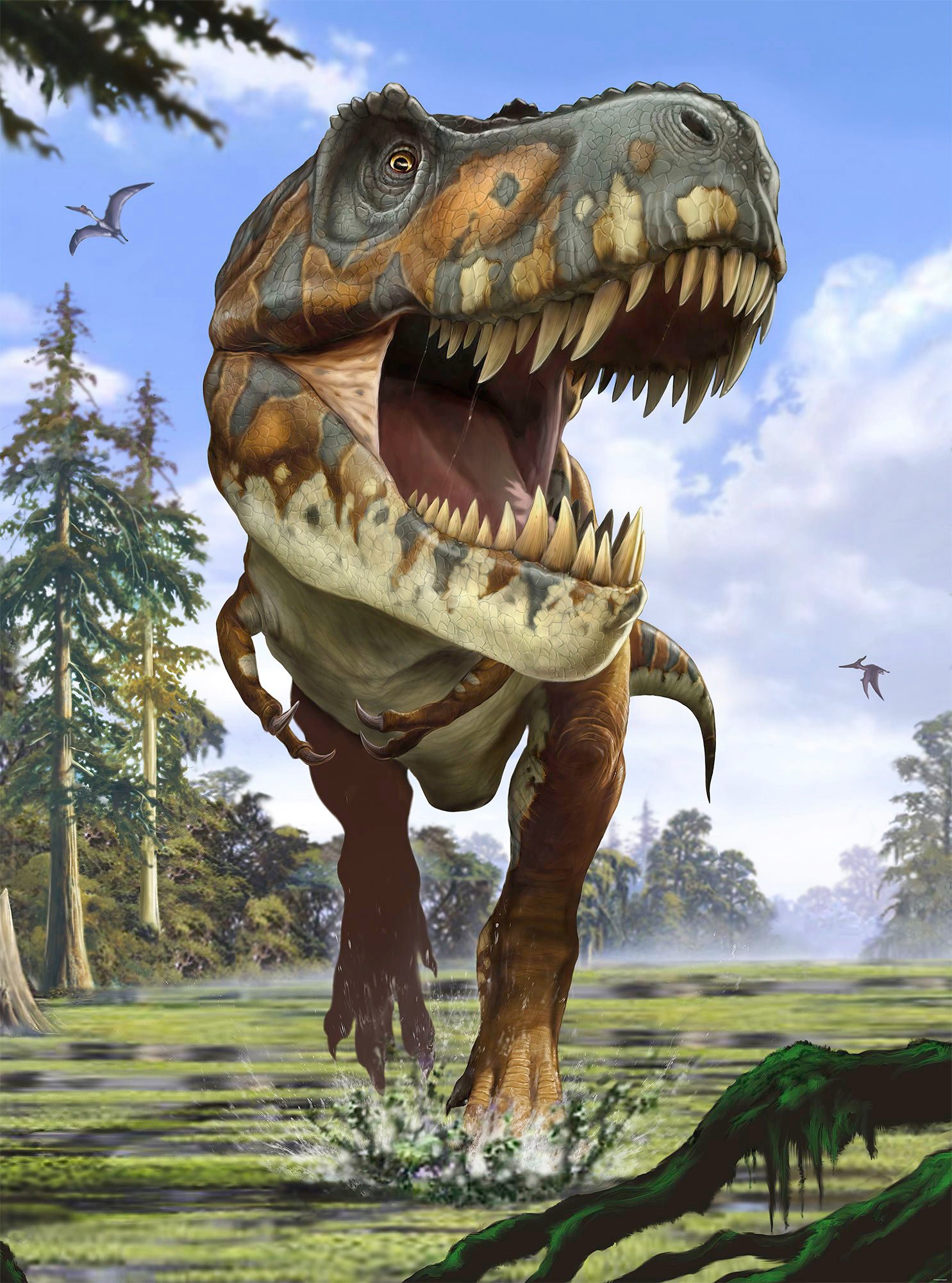 Image of Komar Fototapete »Tyrannosaurus Rex«, bedruckt-Comic-Retro-mehrfarbig, BxH: 184x248 cm bei Ackermann Versand Schweiz