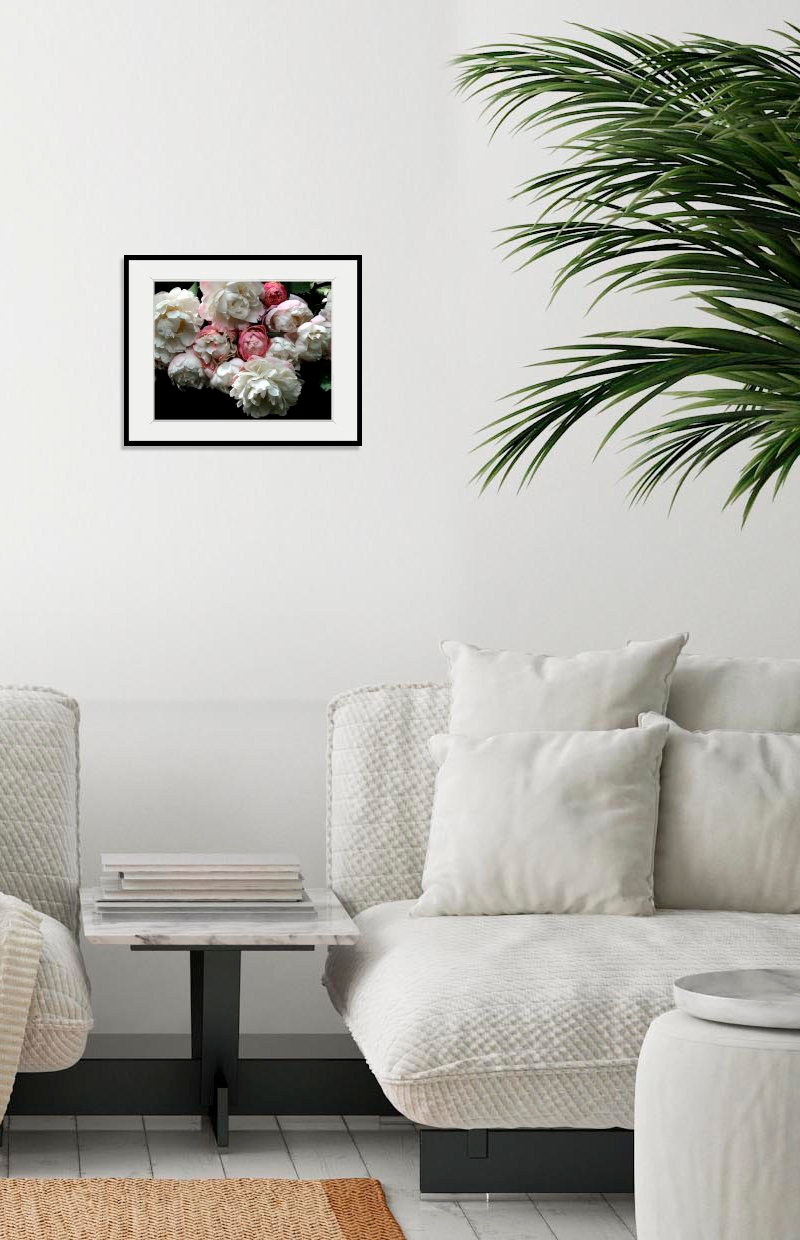 Image of queence Bild "Alexa" Blumen Foto Pflanzen Pflanzenbilder 1 Stk. tlg. HD Premium Poster-Druck inkl. Holzrahmen