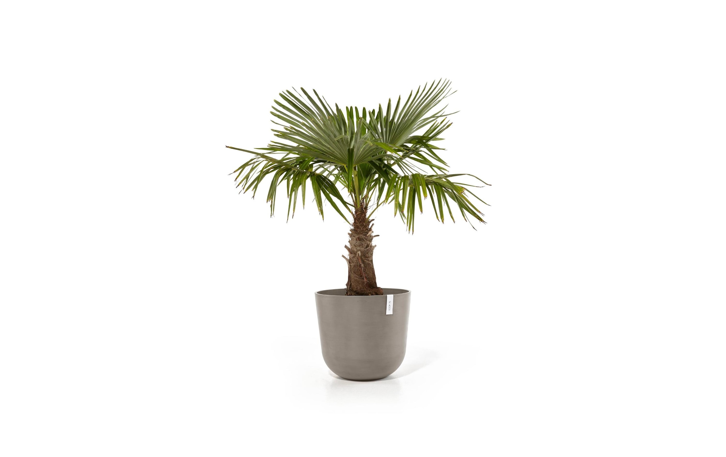 ECOPOTS Pflanzkübel »Oslo 55«, (1 St.)