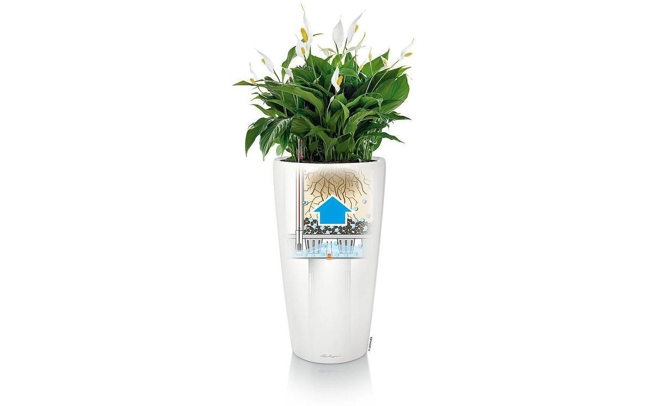   Pot de fleurs »Lechuza RONDO Premium 32«