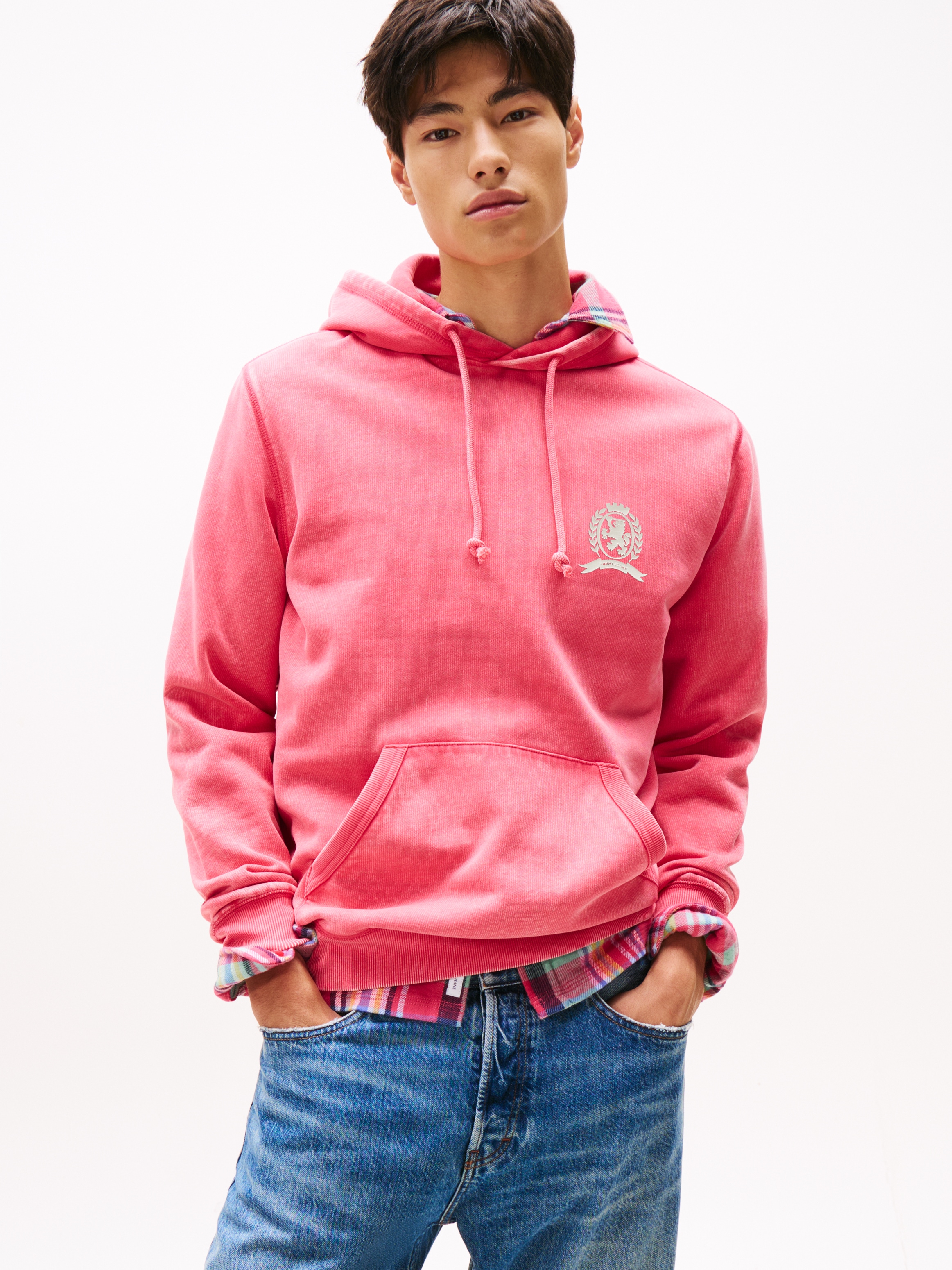Image of Tommy Jeans Hoodie "TJM WASHED CREST PLAY", regular fit, Sweatshirt, Rückenprint