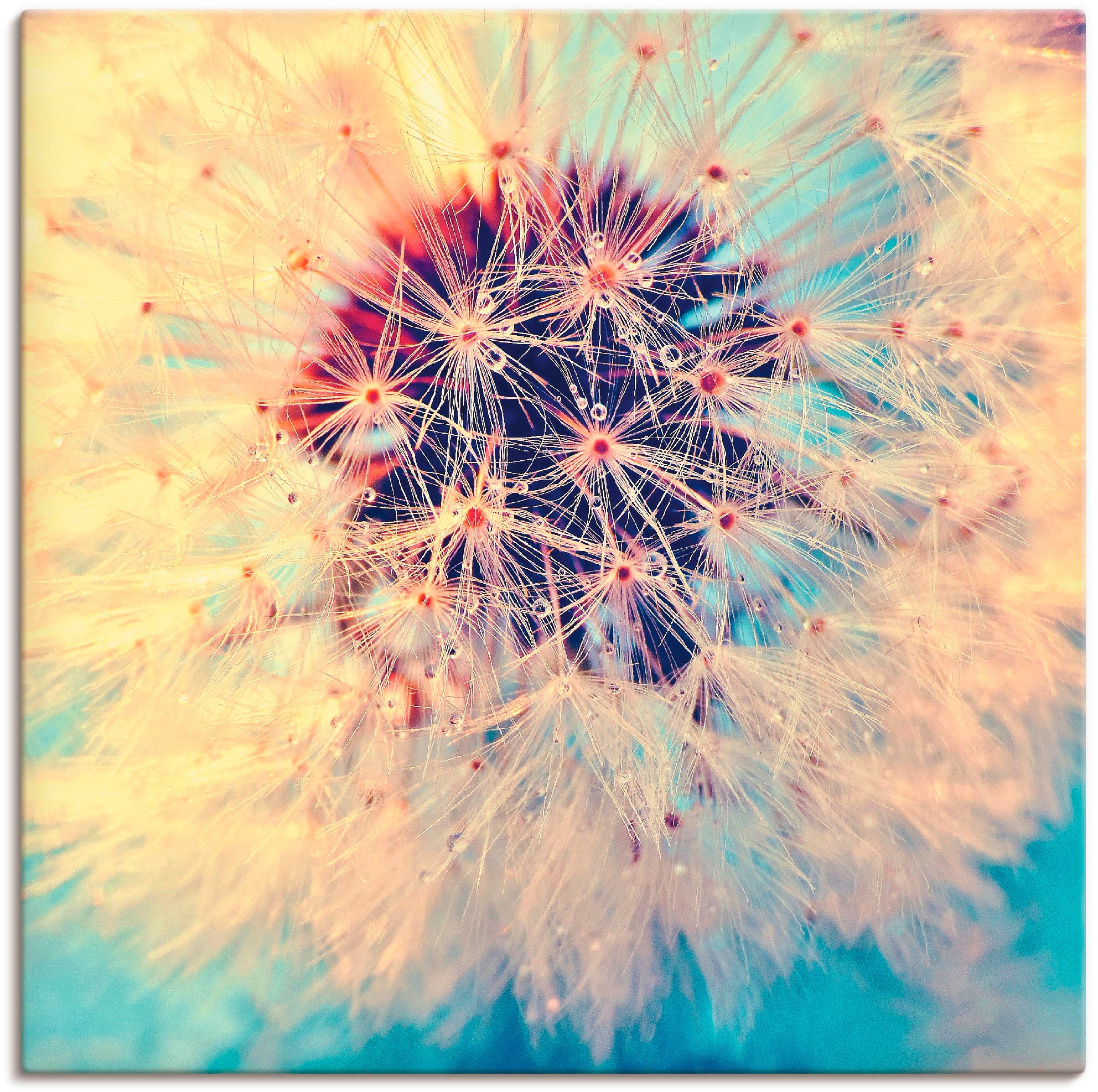 Image of Artland Wandbild "Pusteblume ganz nah" Blumen 1 Stk. tlg. als Alubild, Leinwandbild, Poster in verschied. Grössen