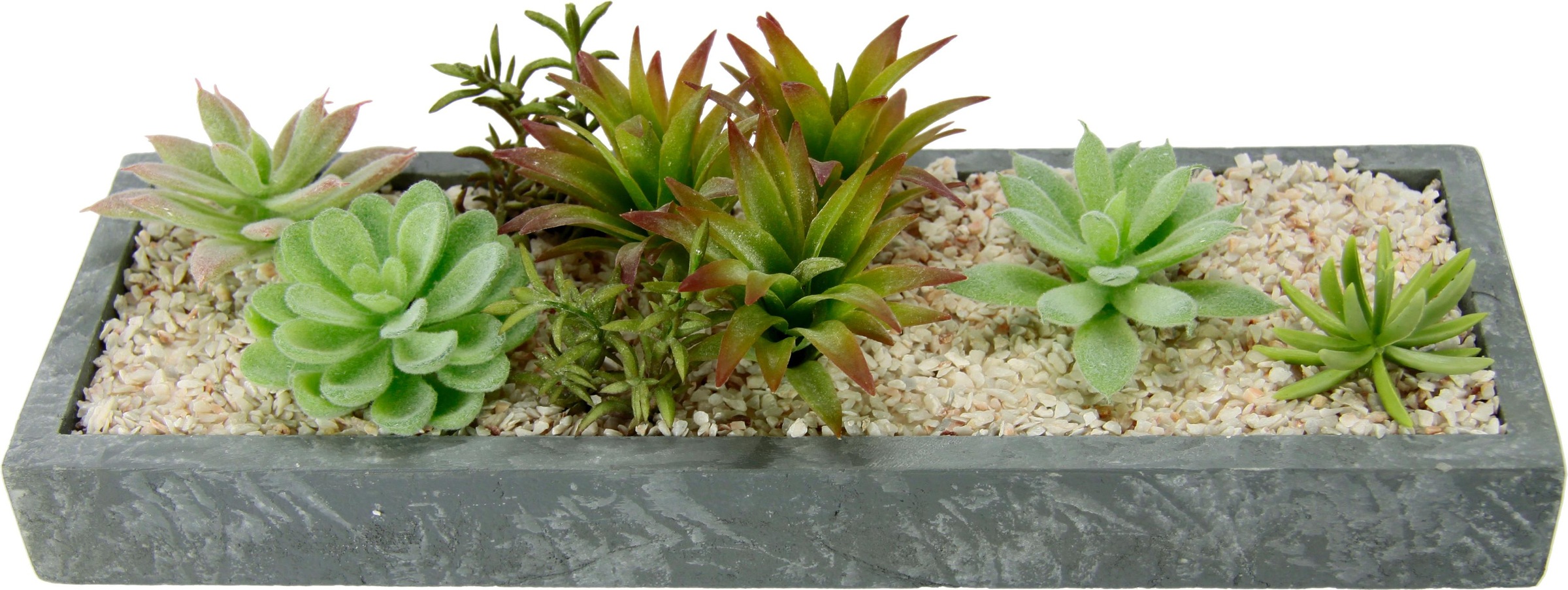 Image of I.GE.A. Kunstpflanze »Succulenten in Schale«, (1 St.) bei Ackermann Versand Schweiz