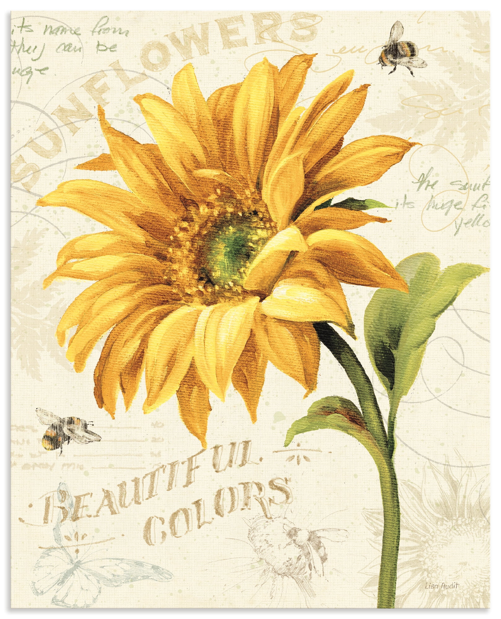 Image of Artland Wandbild "Under the Sun II" Blumenbilder 1 Stk. tlg. als Alubild, Leinwandbild, Poster, Wandaufkleber in verschied. Grössen