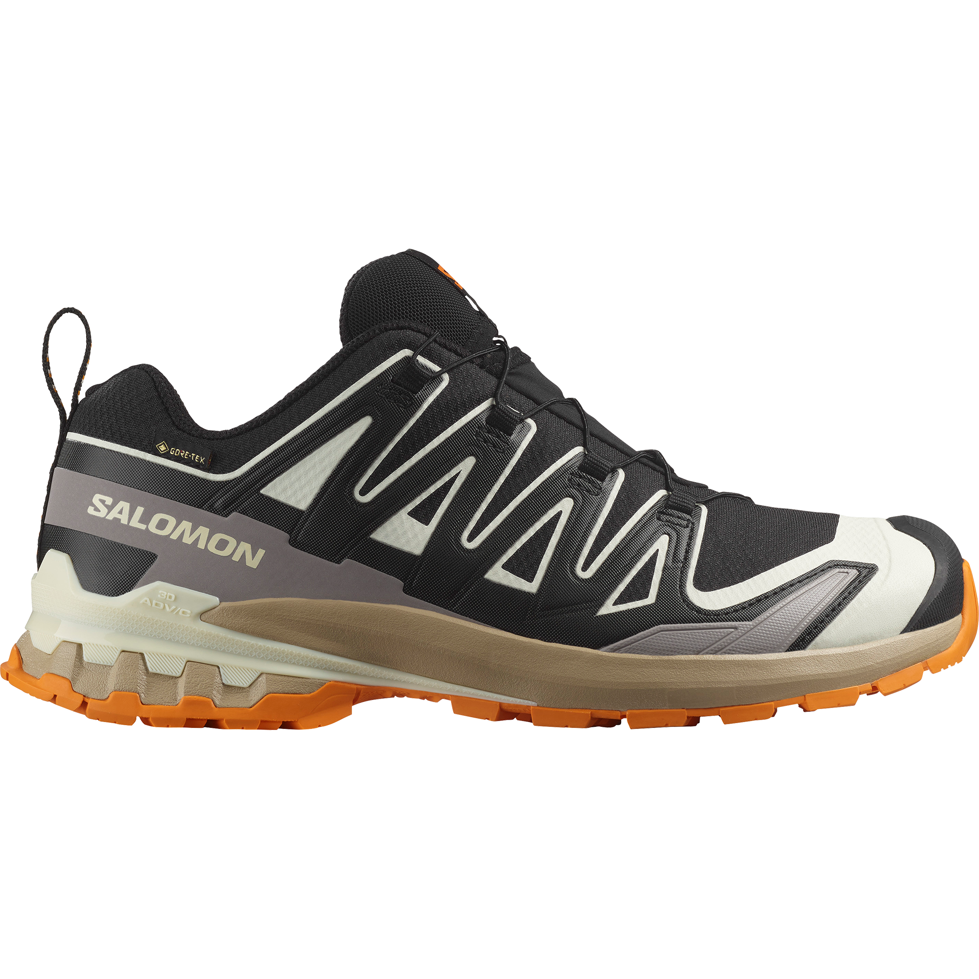 Image of Salomon Laufschuh "XA PRO 3D V9 GORE-TEX" wasserdicht