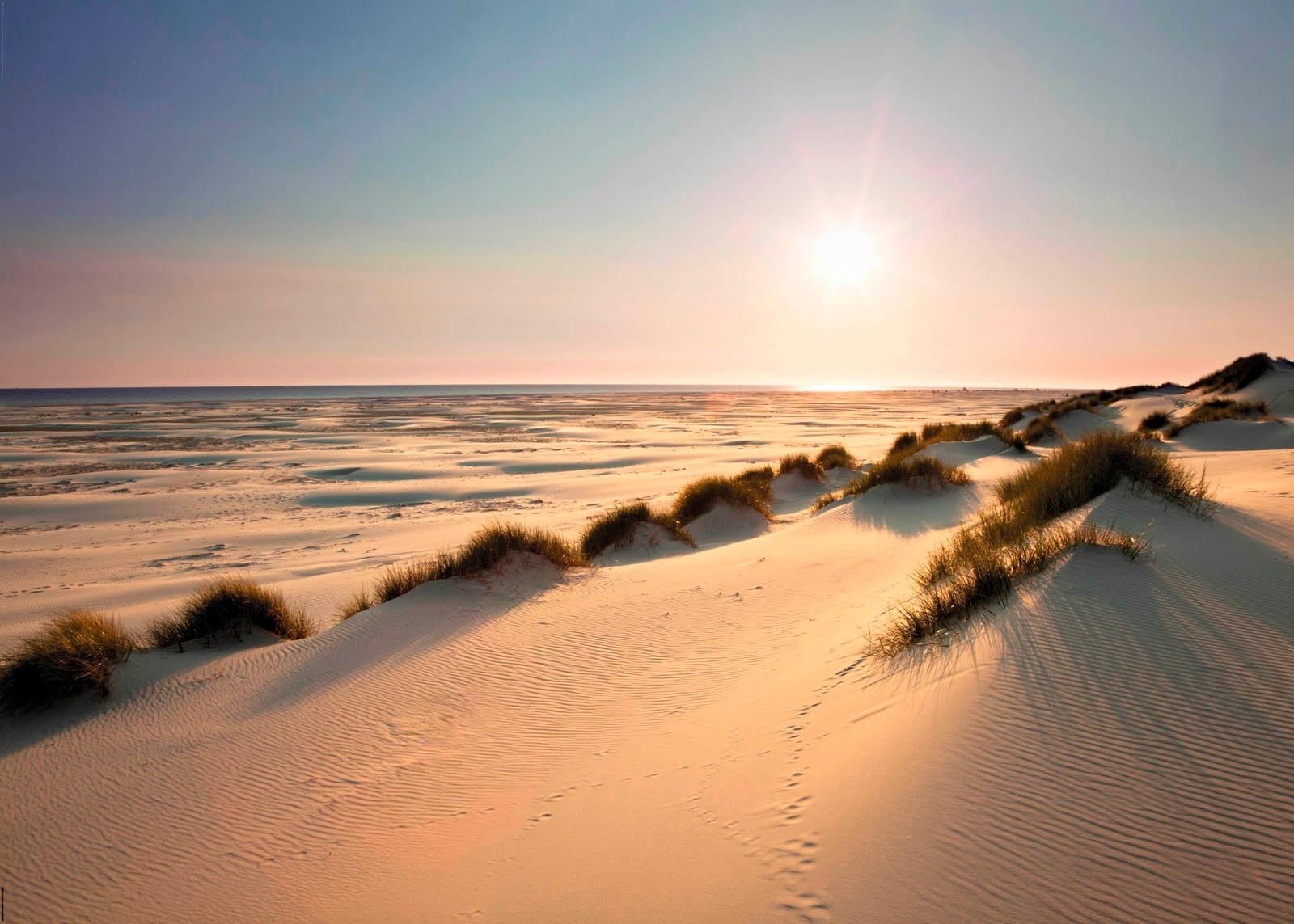 Image of Reinders! Deco-Panel »Sonnige Dünen«, 140/100 cm bei Ackermann Versand Schweiz