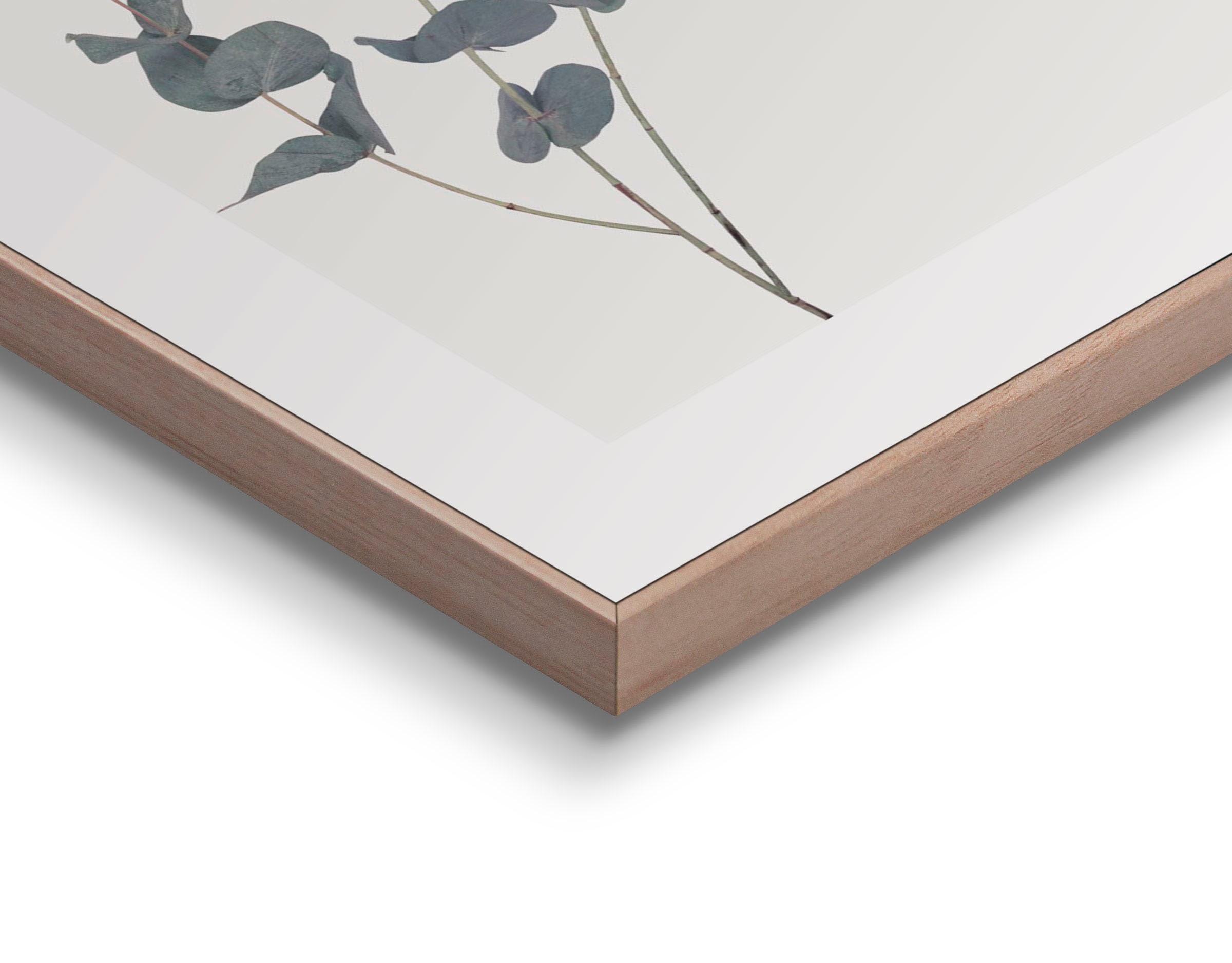Reinders! Bild mit Rahmen »Eucalyptus«, (1 St.)