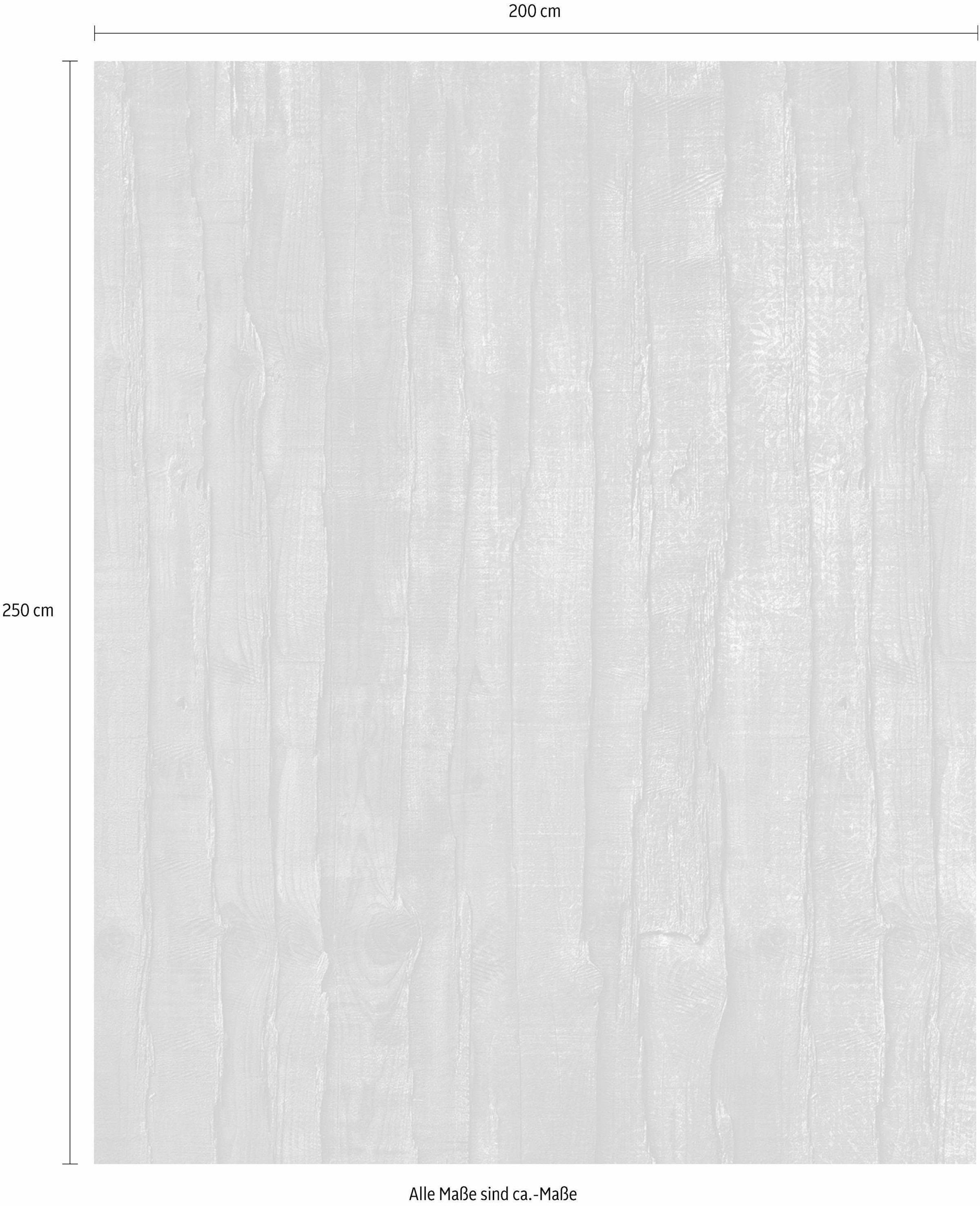 Komar Vliestapete »Digitaldruck Vlies -  Caress - Grösse 200 x 250 cm« bedruckt glatt Wohnzimmer, Schlafzimmer